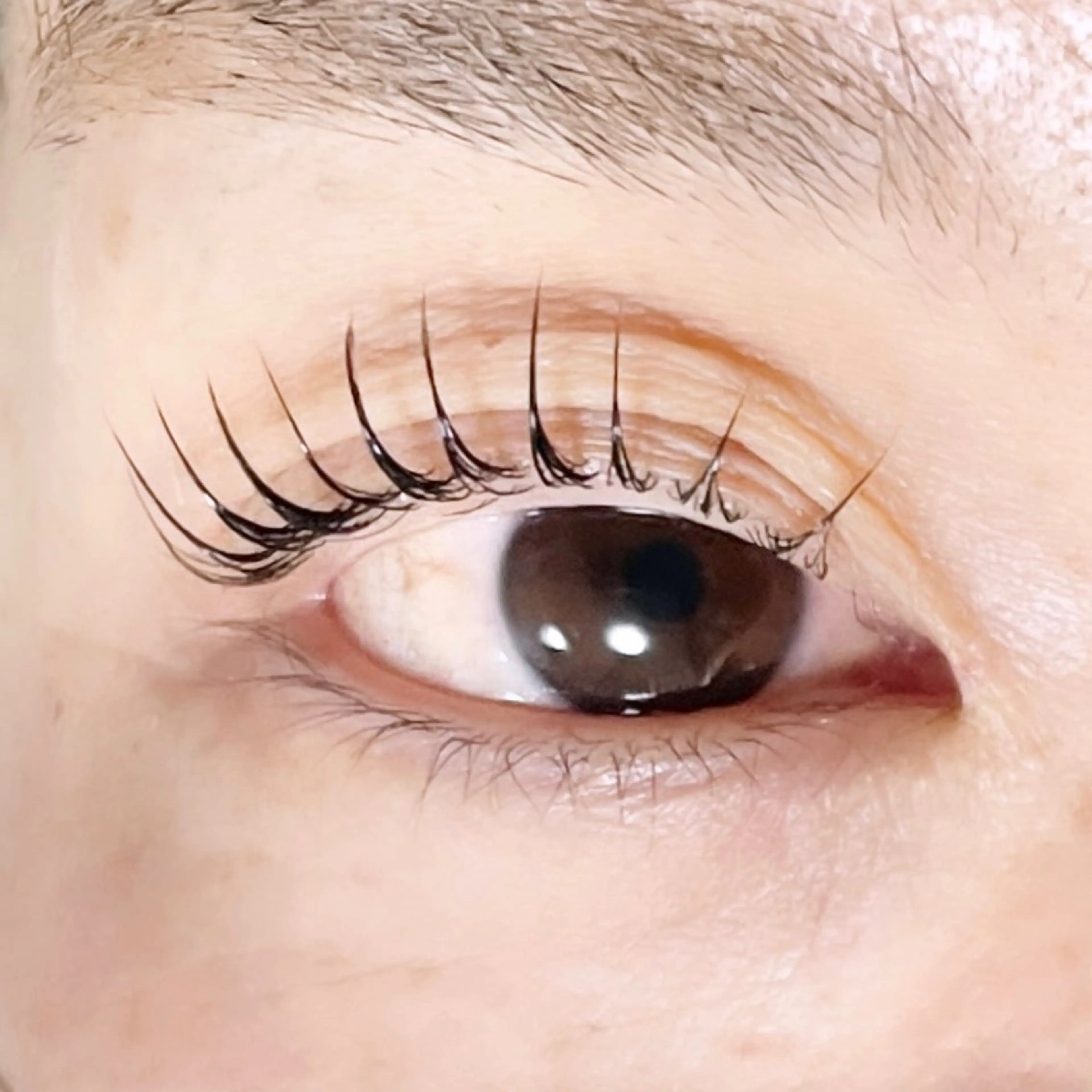 マツエク・マツパ TAKEO🖤 マリーテレジア藤が丘のマツエク・マツパデザイン