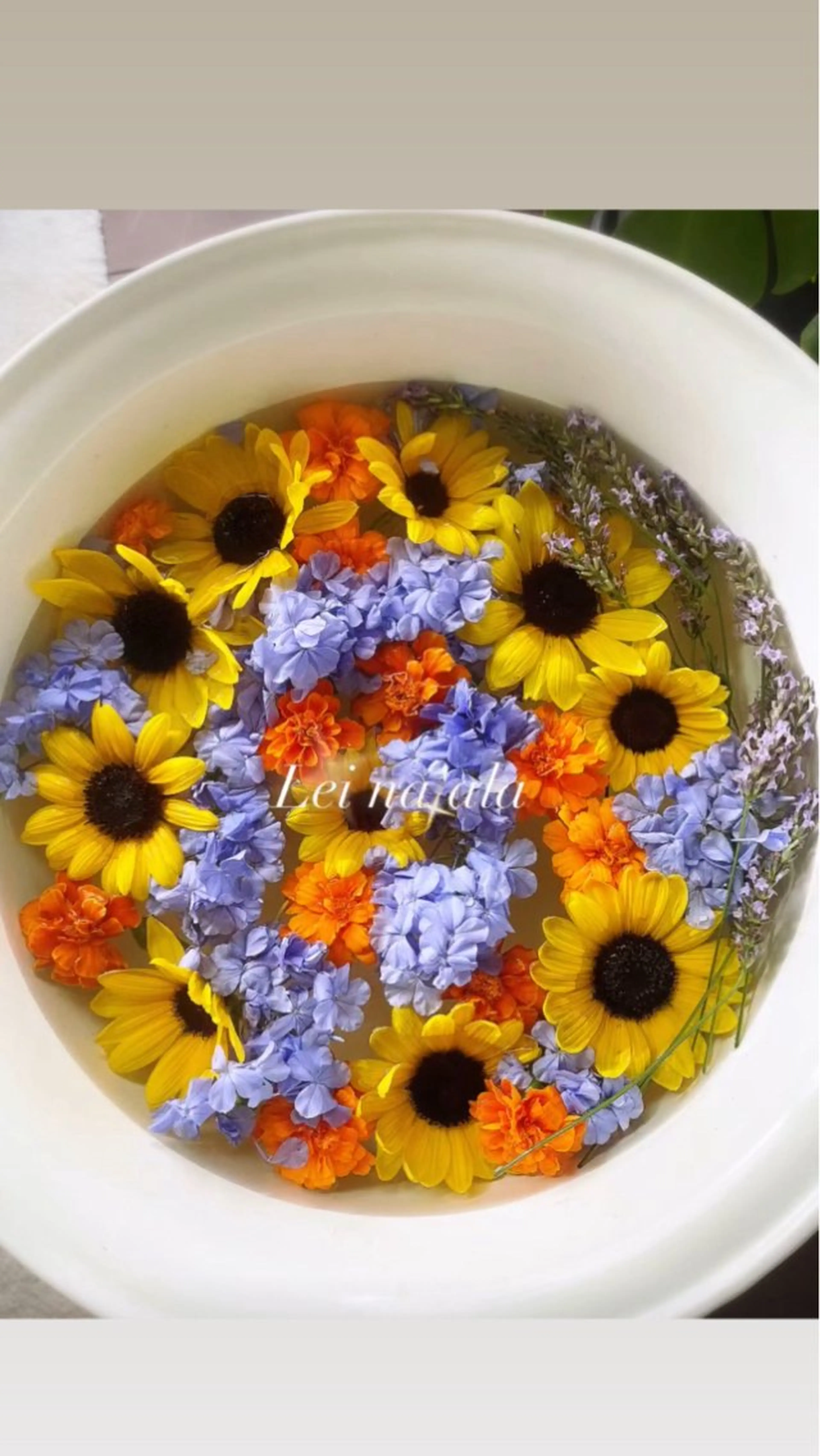 レイ・ナアラ セラピストまゆのエステ・リラクイメージ