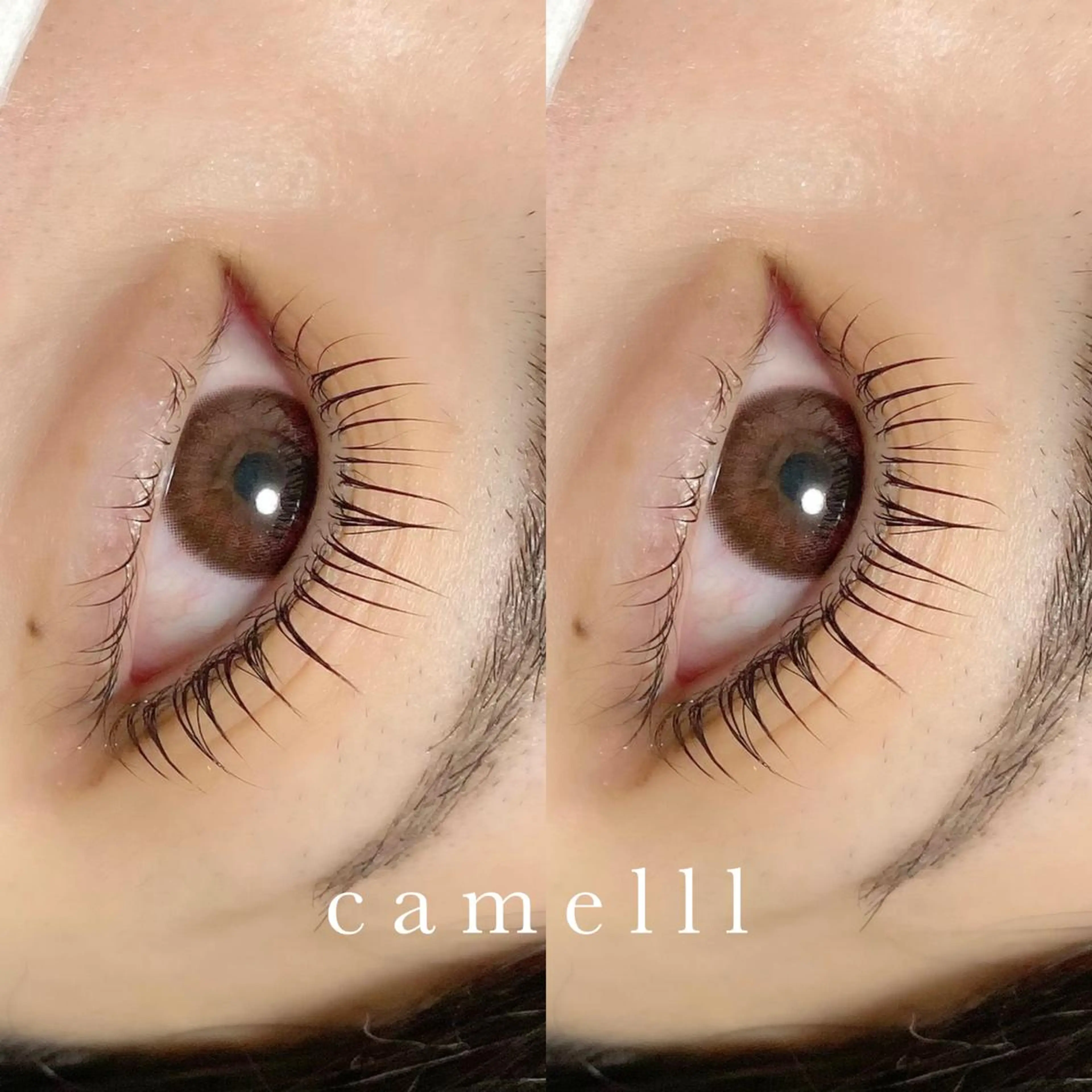 マツエク・マツパ 【那覇/束感まつ毛】 キャメルのマツエク・マツパデザイン