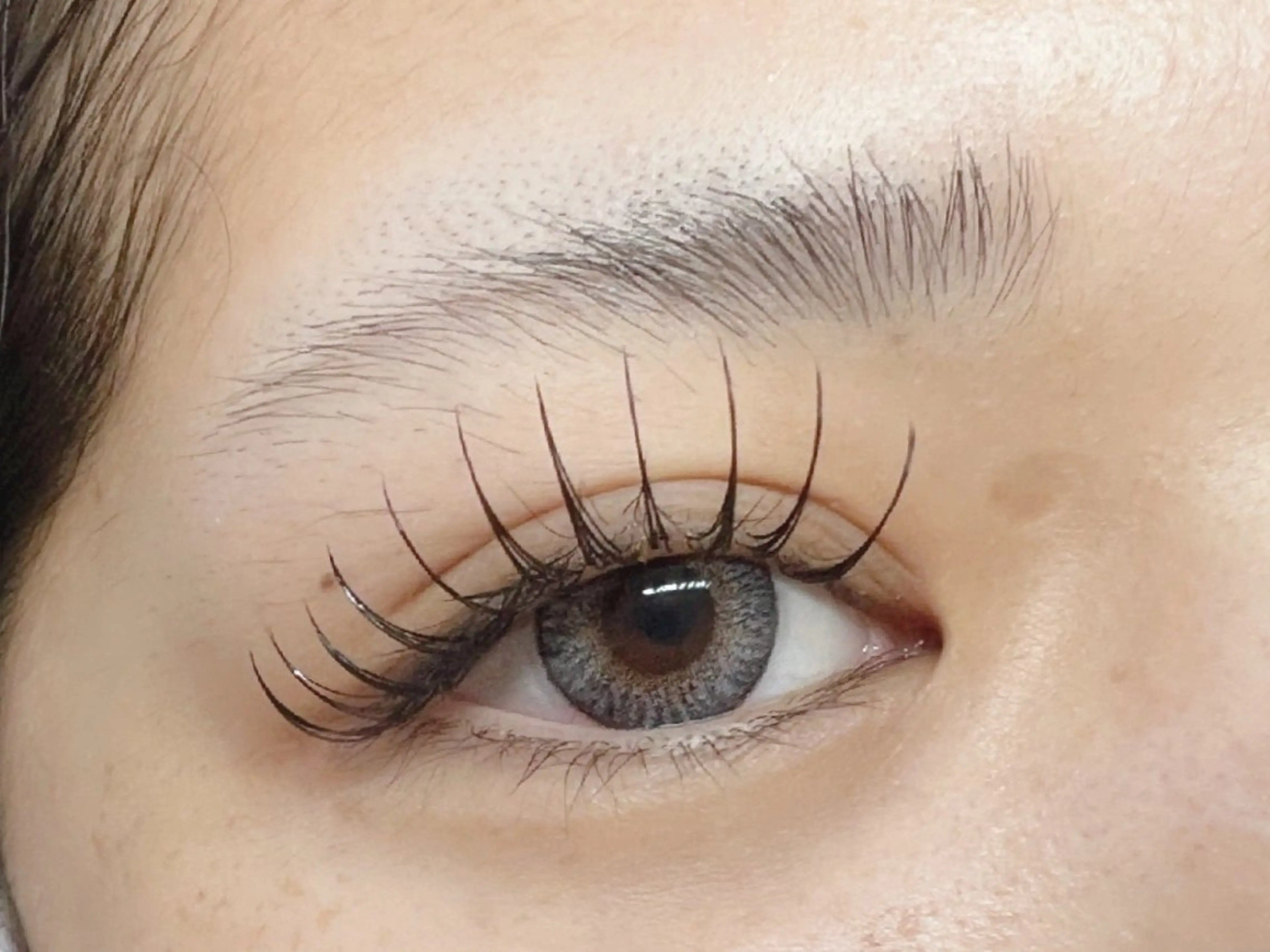 マツエク・マツパ フラットラッシュ Eyelash Hauoliのマツエク・マツパデザイン