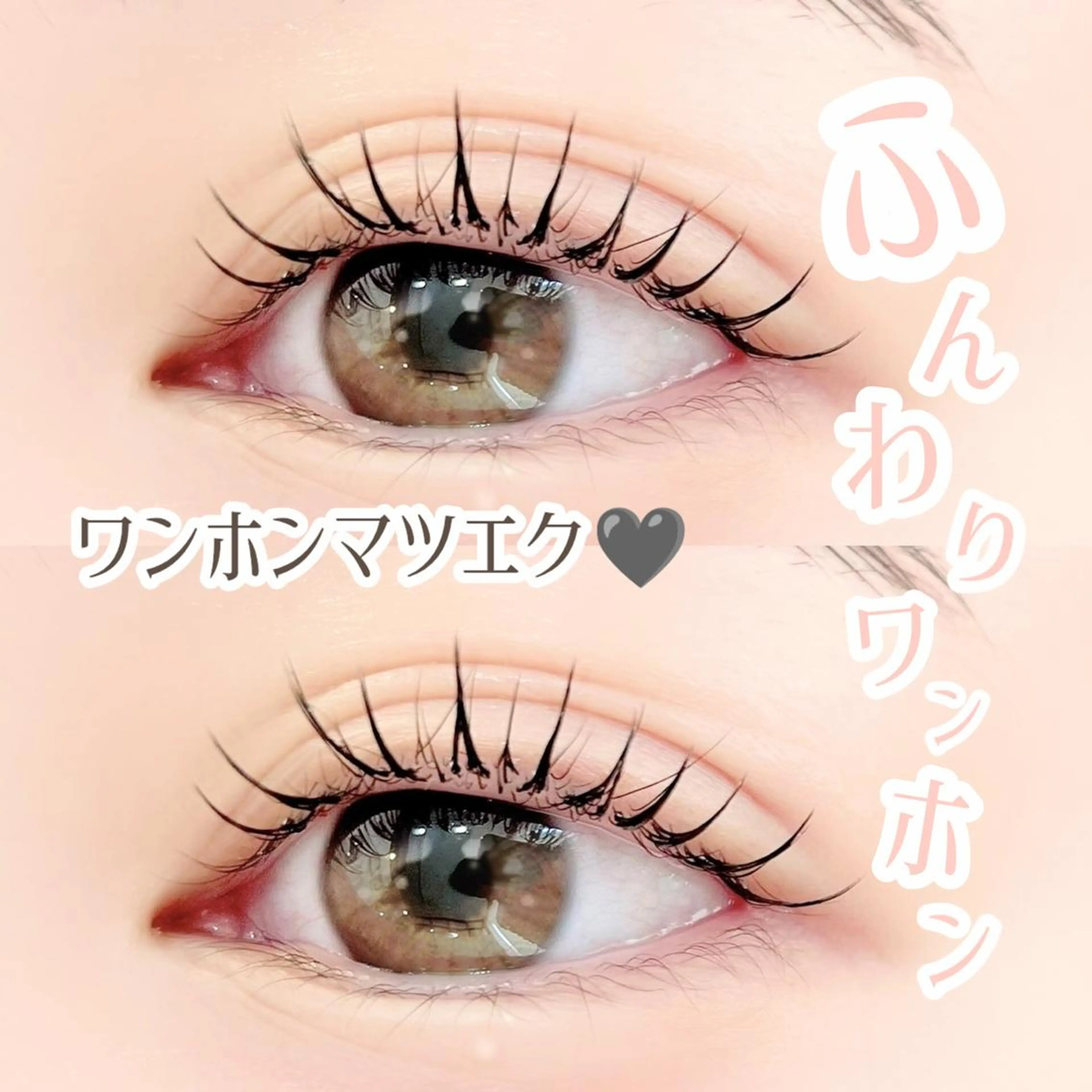 【中華風束感まつげ🌸ワンホンマツエク】¥8800🌟束感弱めのふんわりワンホン👀(3Dボリュームラッシュ使用)の写真