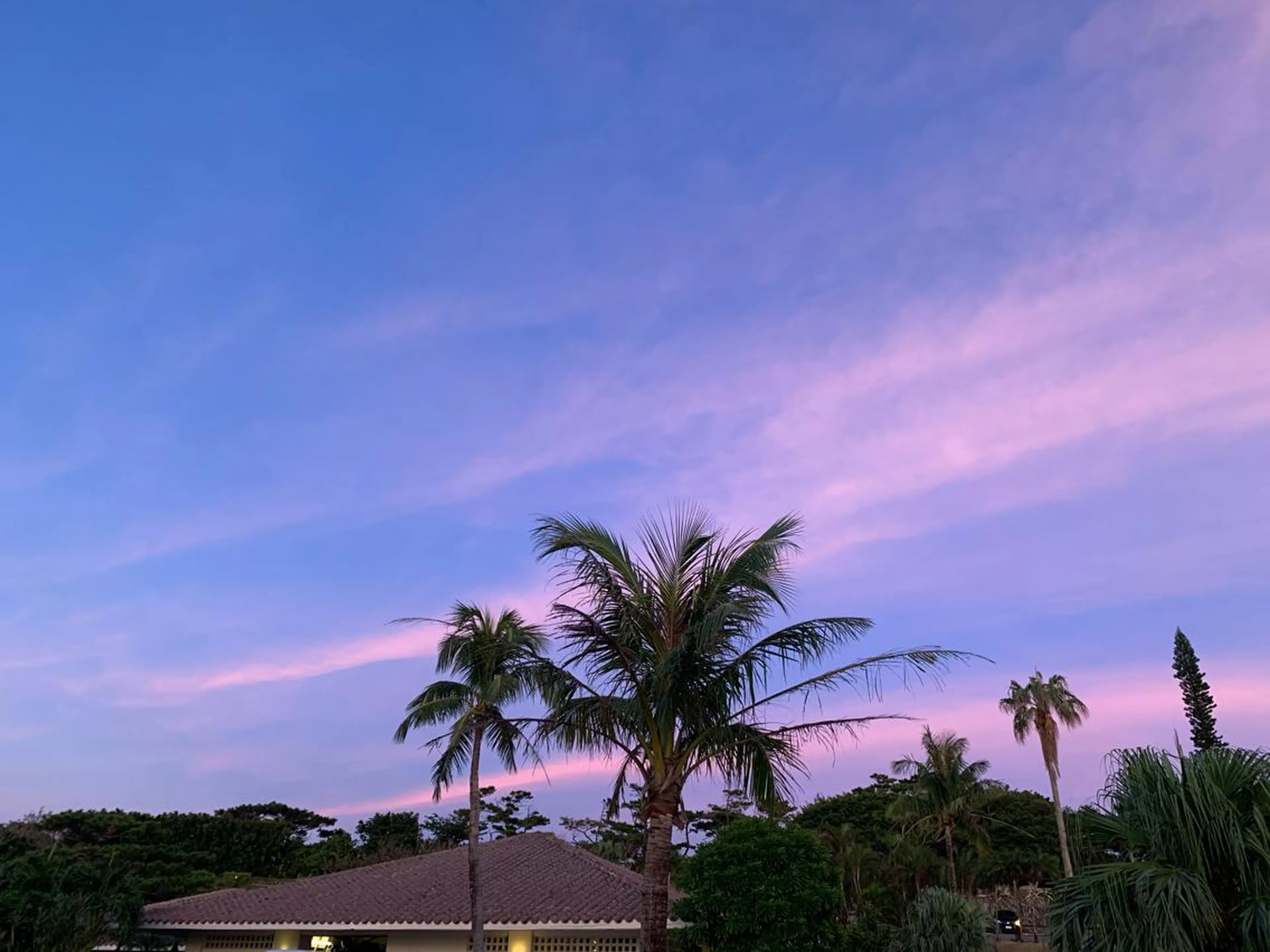 𝐘𝐎𝐒𝐇𝐈 𝐌𝐈🌞🏝のマツエク・マツパデザイン