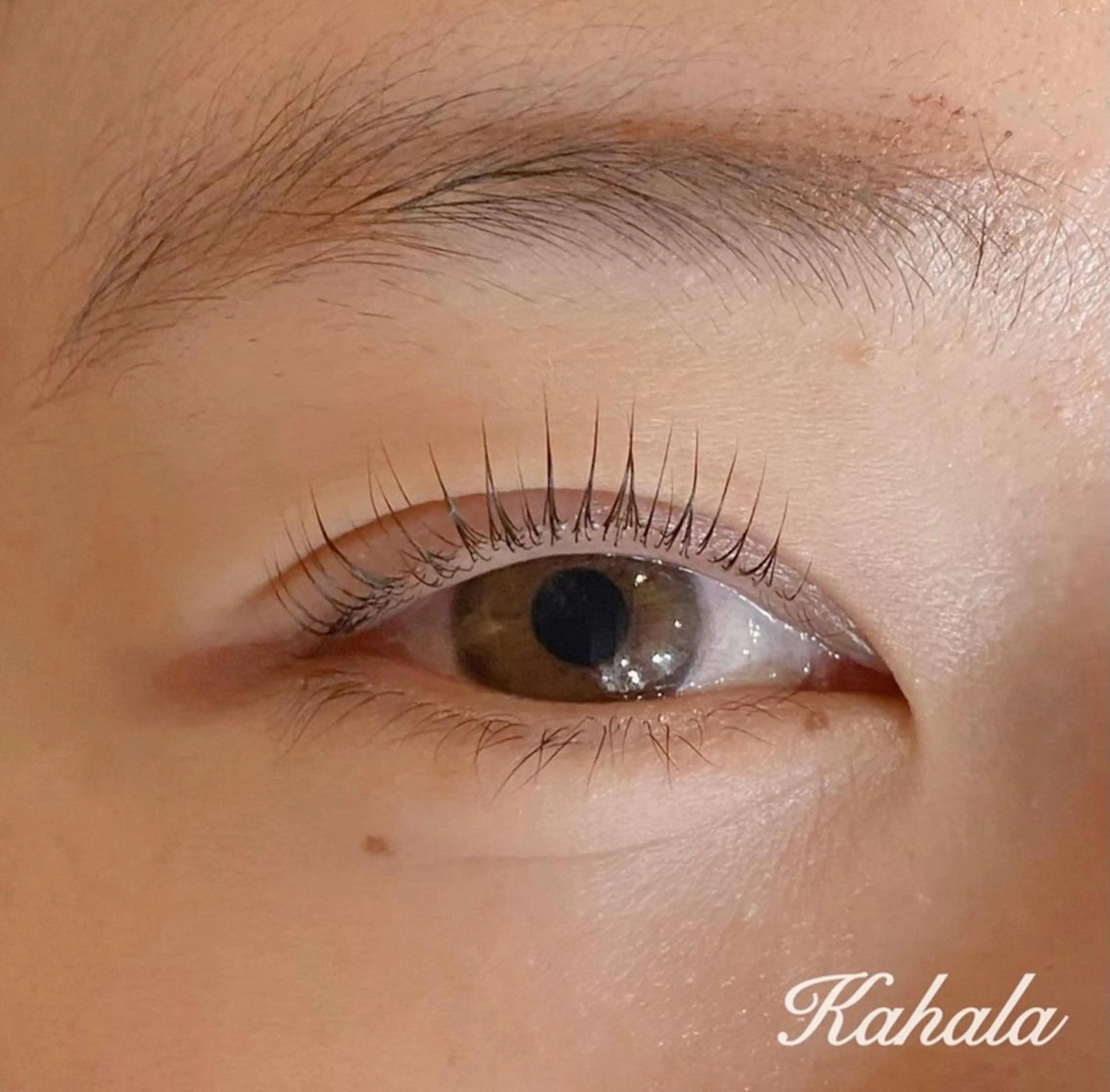 マツエク・マツパ パリジェンヌラッシュリフト アイラッシュリゾートカハラ　国分寺所属・Saki yのマツエク・マツパデザイン