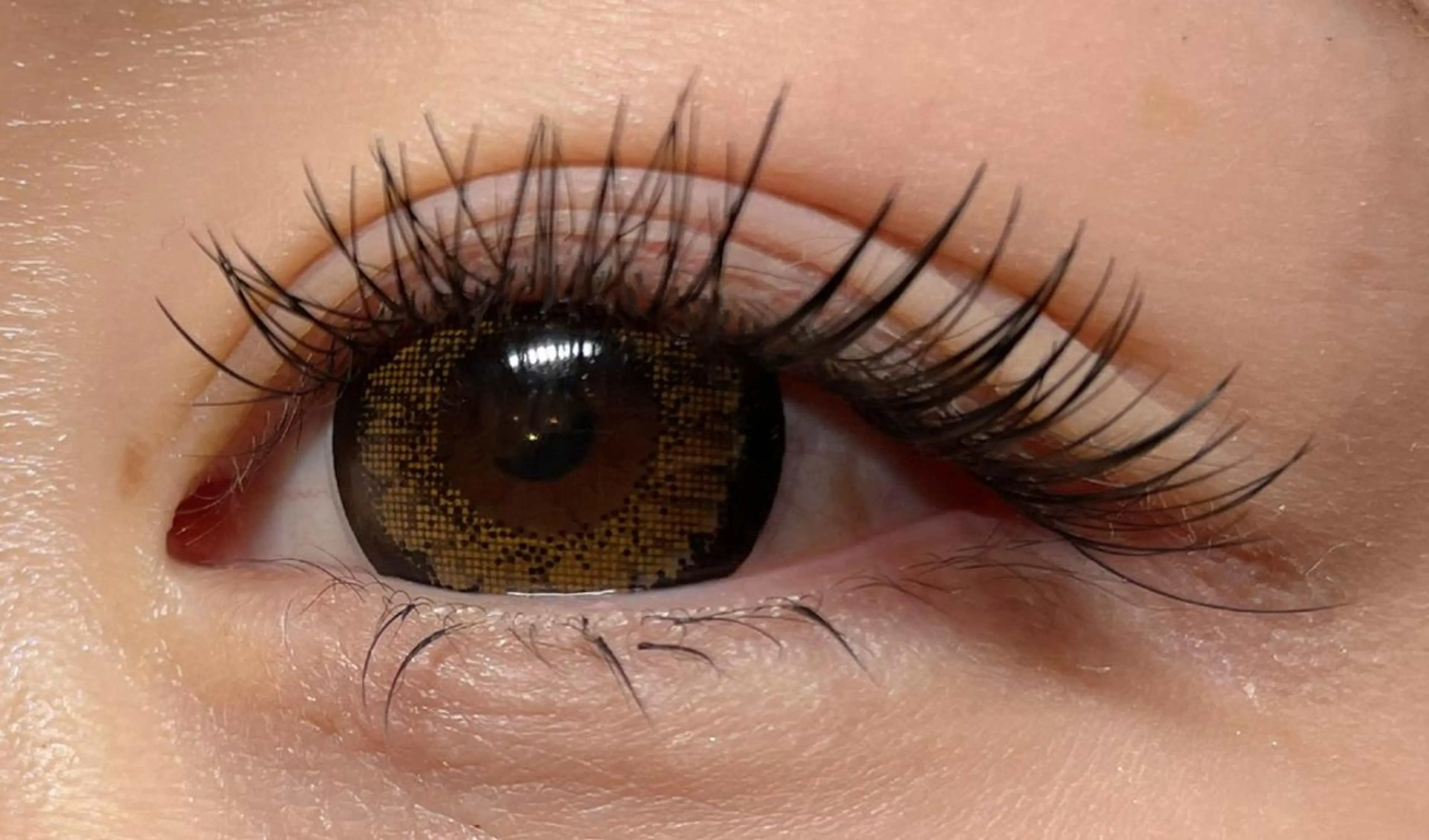 マツエク・マツパ マツエク princess 森 碧海のマツエク・マツパデザイン