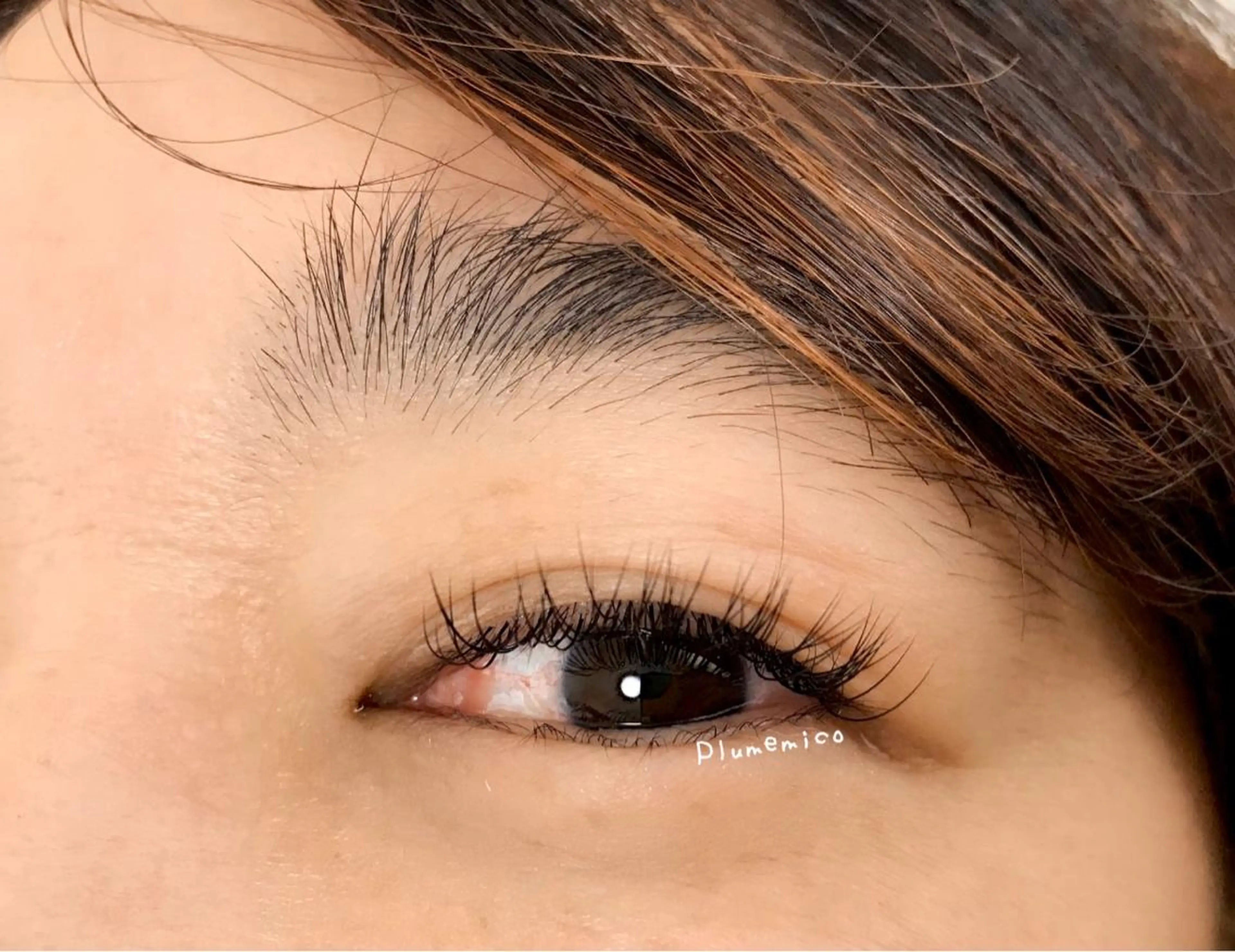 マツエク・マツパ マツエク Plume micoのマツエク・マツパデザイン