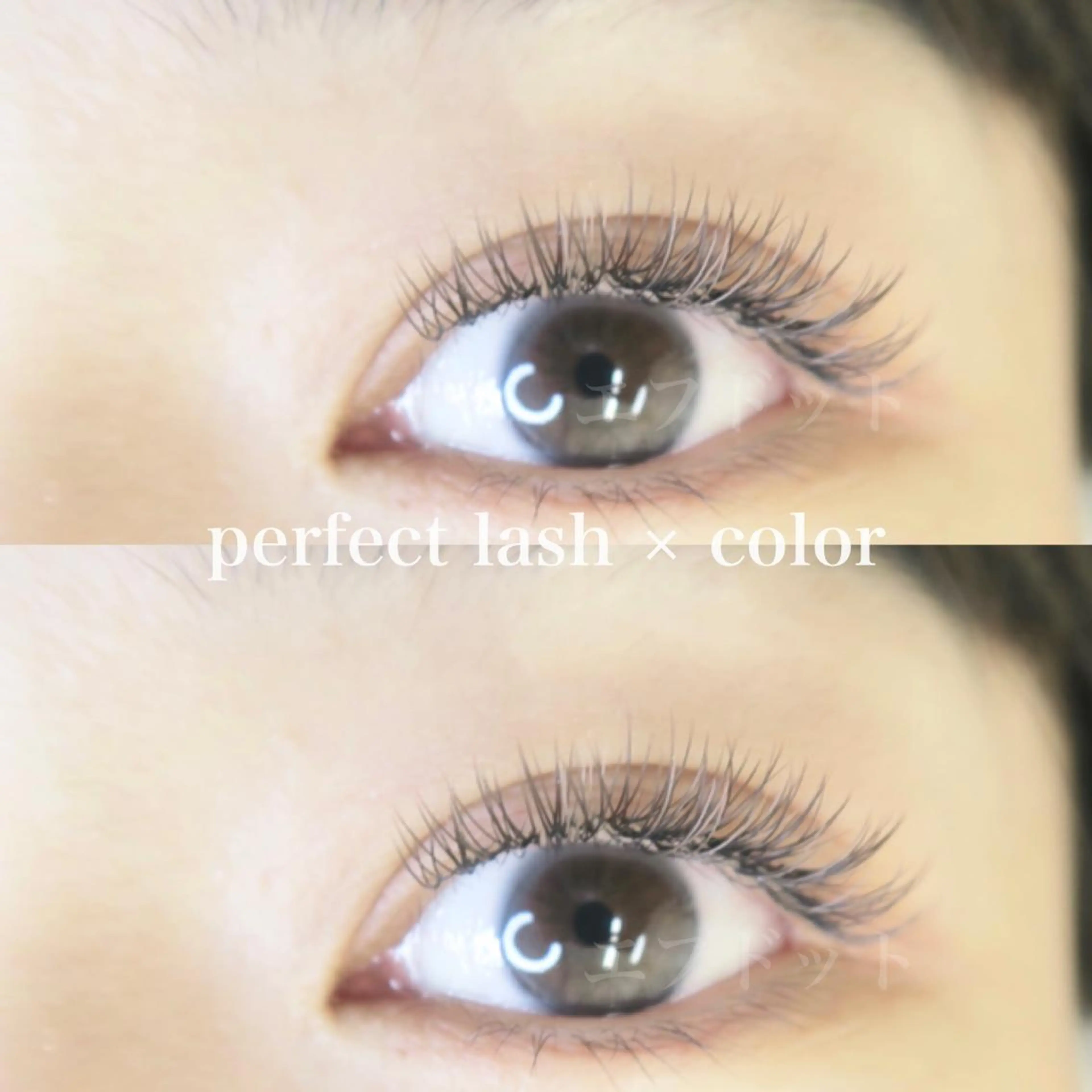 マツエク・マツパ f.【エフドット】 二俣川のマツエク・マツパデザイン