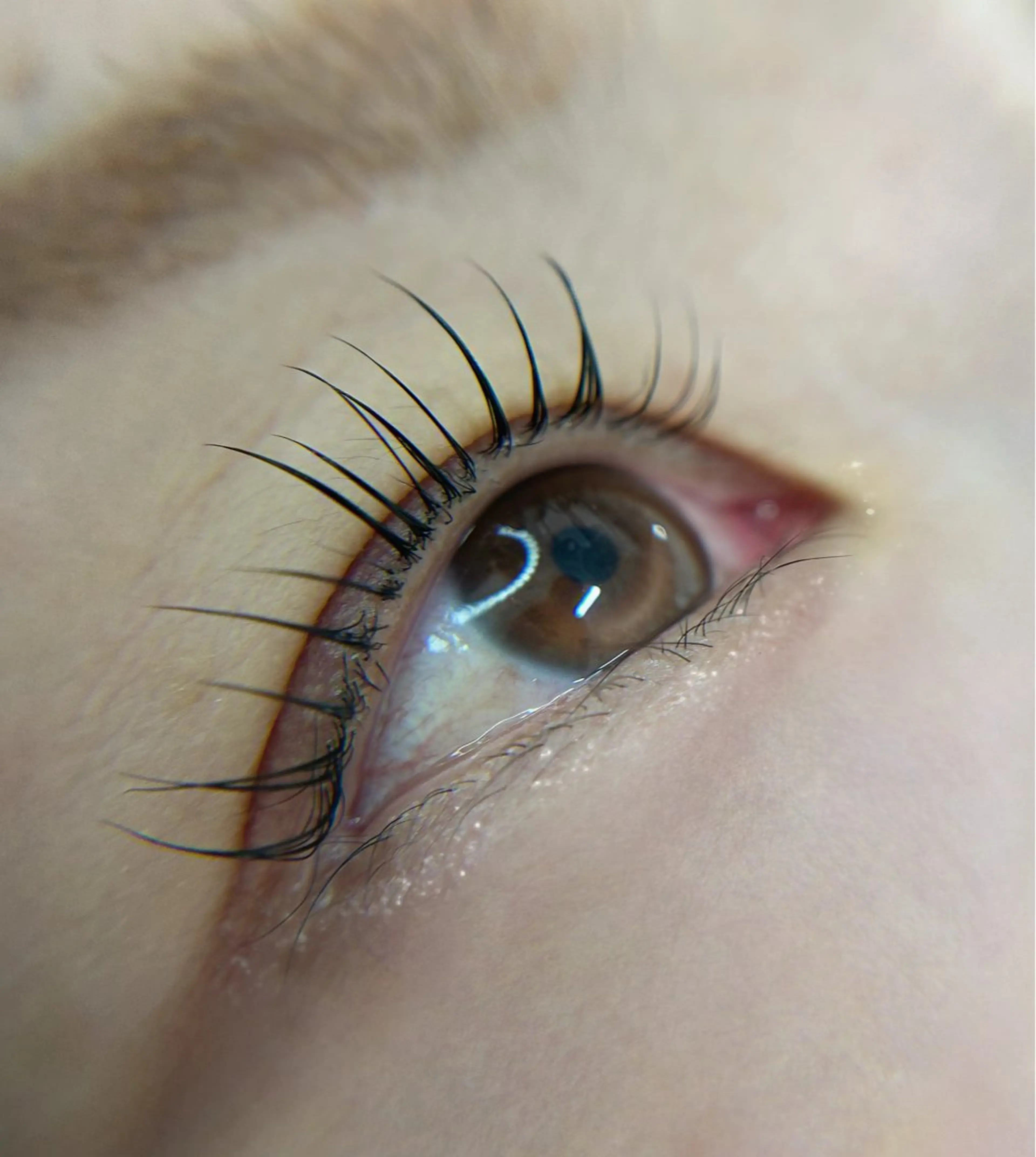 マツエク・マツパ マツパ eyelash salon neu"所属・neu'' /ノイ まつ毛　salonのマツエク・マツパデザイン