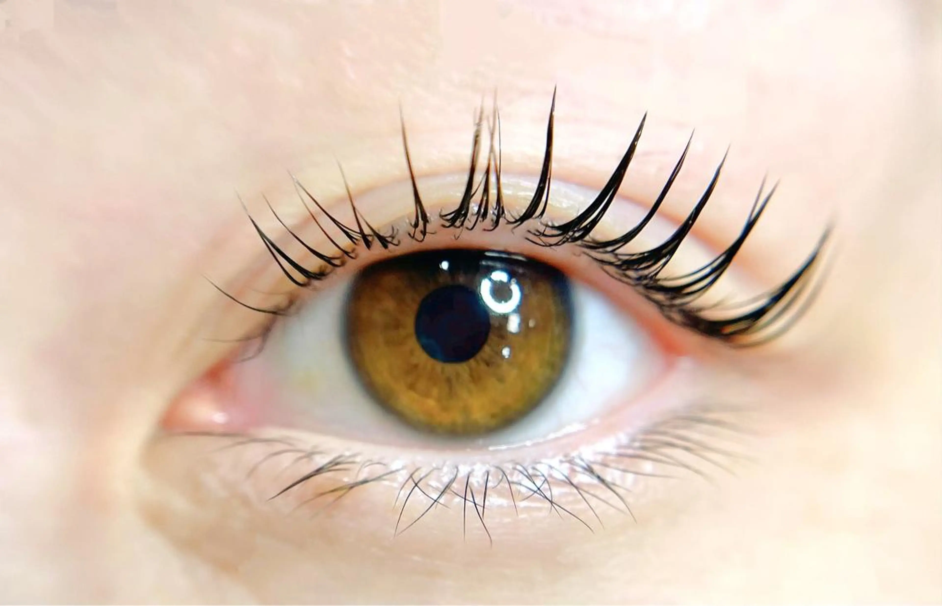 マツエク・マツパ パリジェンヌラッシュリフト マツパ RaumChouChou所属・齋 藤のその他イメージ