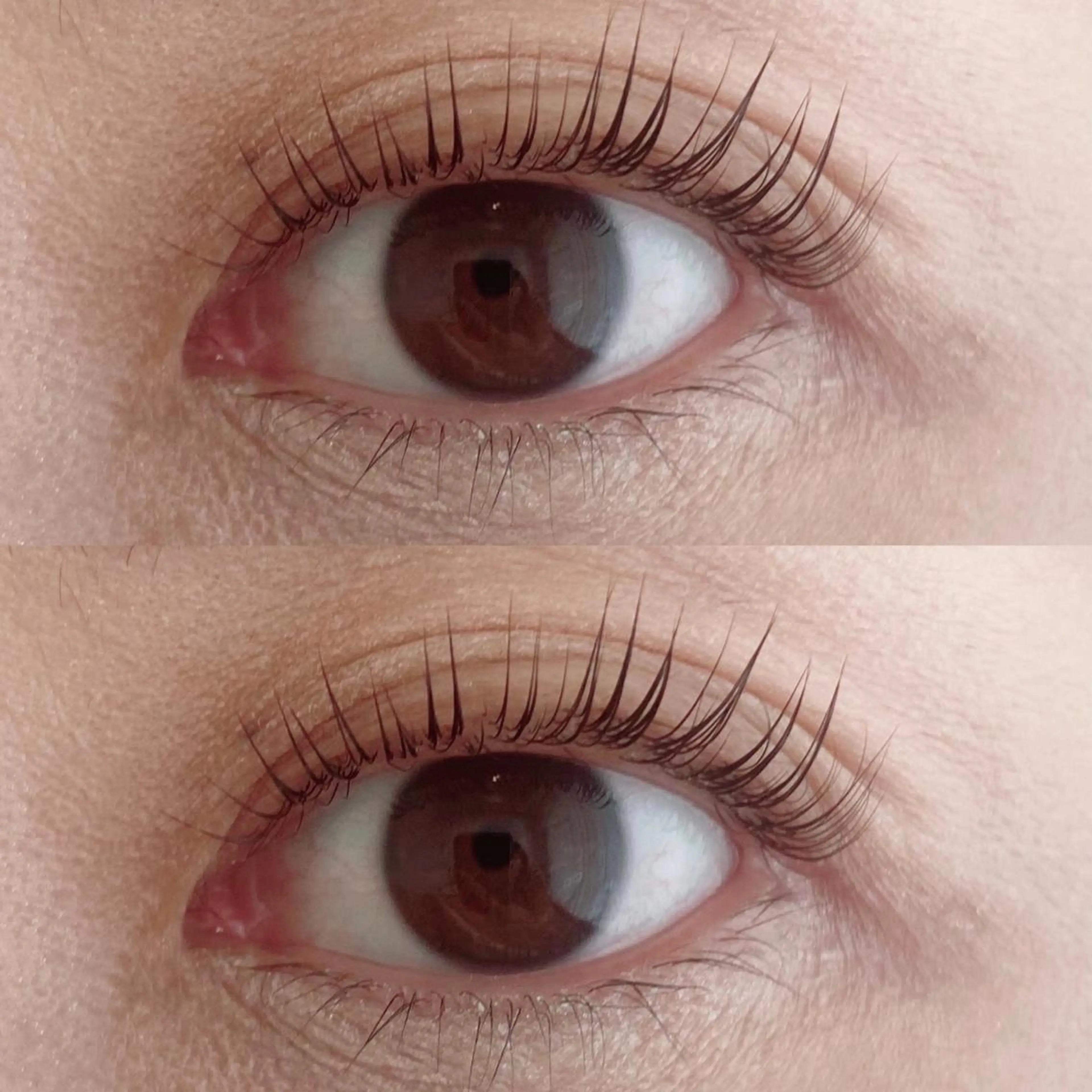 2回目のご来店の方🌻ダメージレス次世代まつ毛パーマ🌻ケラチントリートメント付※金曜日のみ表参道店のご案内になりますの写真