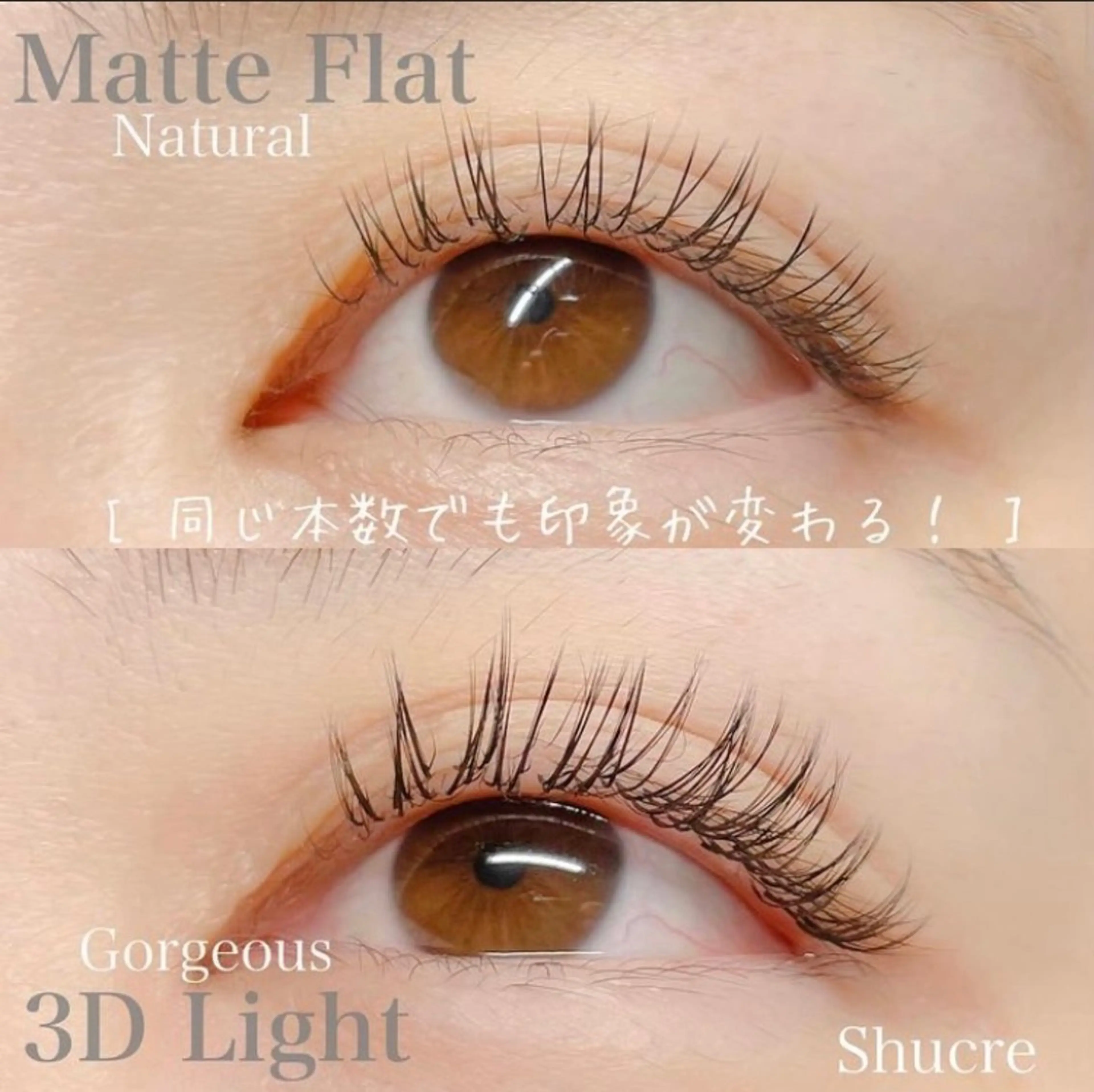 マツエク・マツパ Shucre豊田店 ANRIのマツエク・マツパデザイン