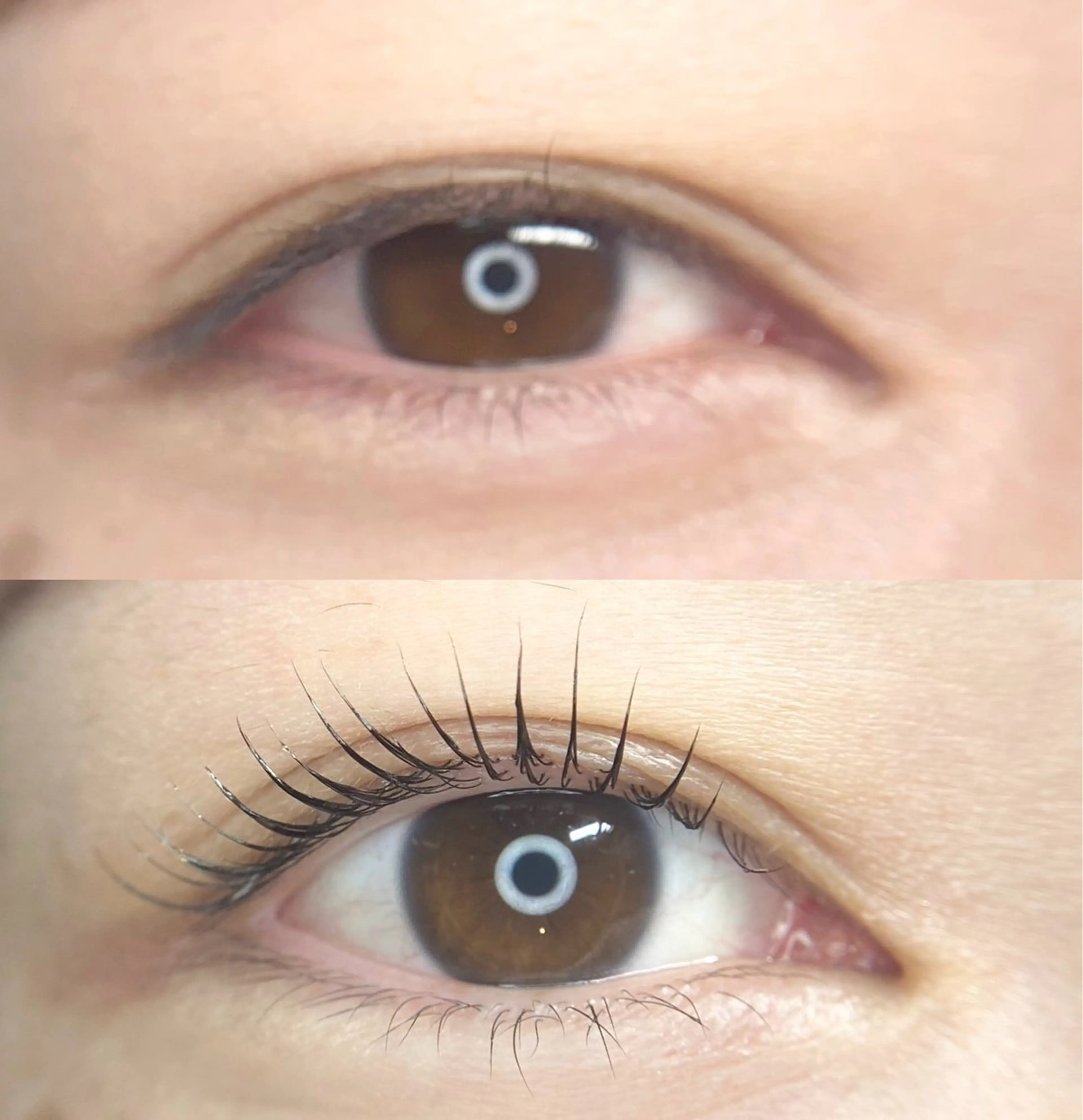 マツエク・マツパ LEDエクステ専門店 Fedis 京橋のマツエク・マツパデザイン