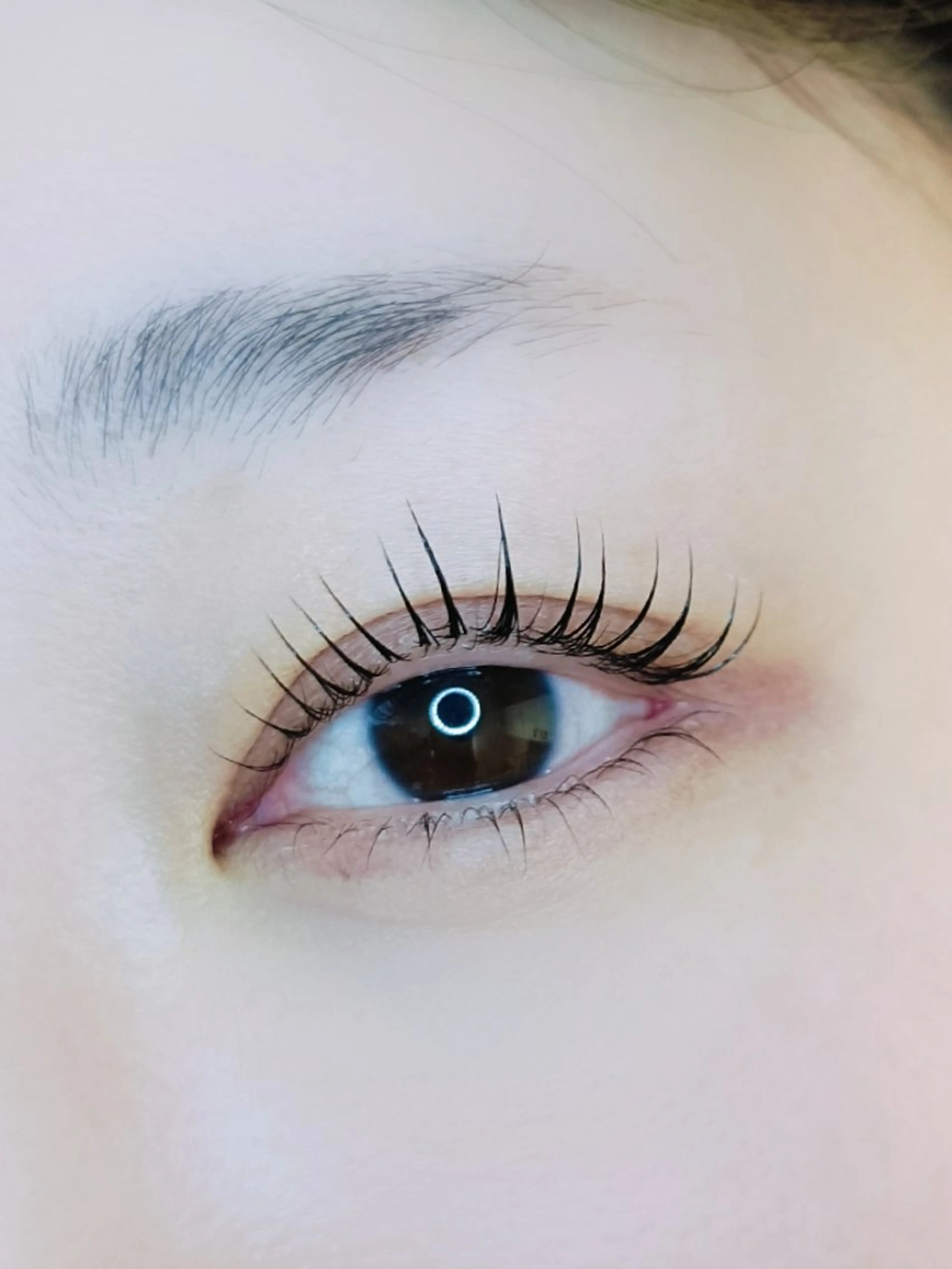 上下ラッシュリフトの写真