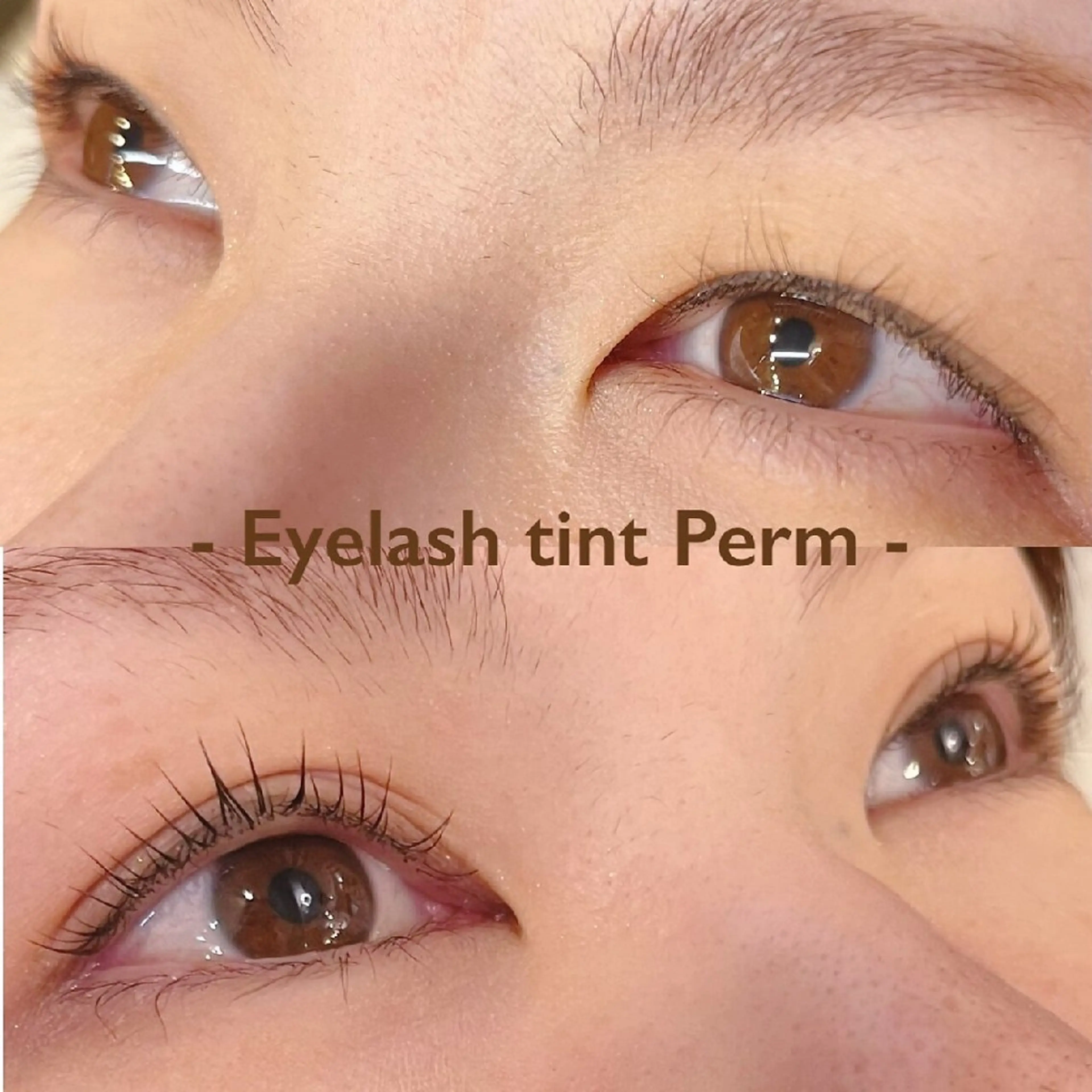 《韓国発技術🇰🇷》ティントパーマの写真