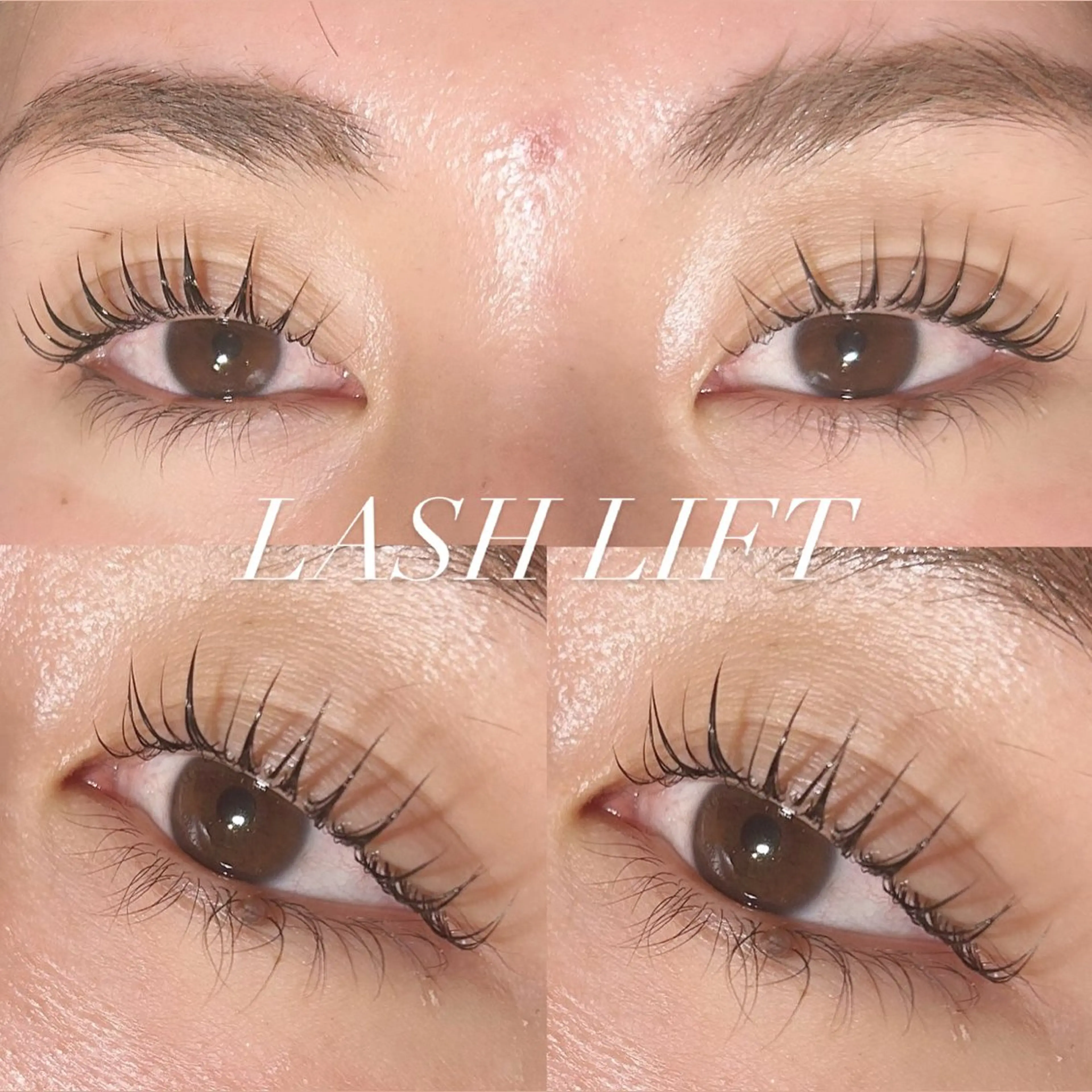 🎀【当日限定】まつげパーマ🎀の写真