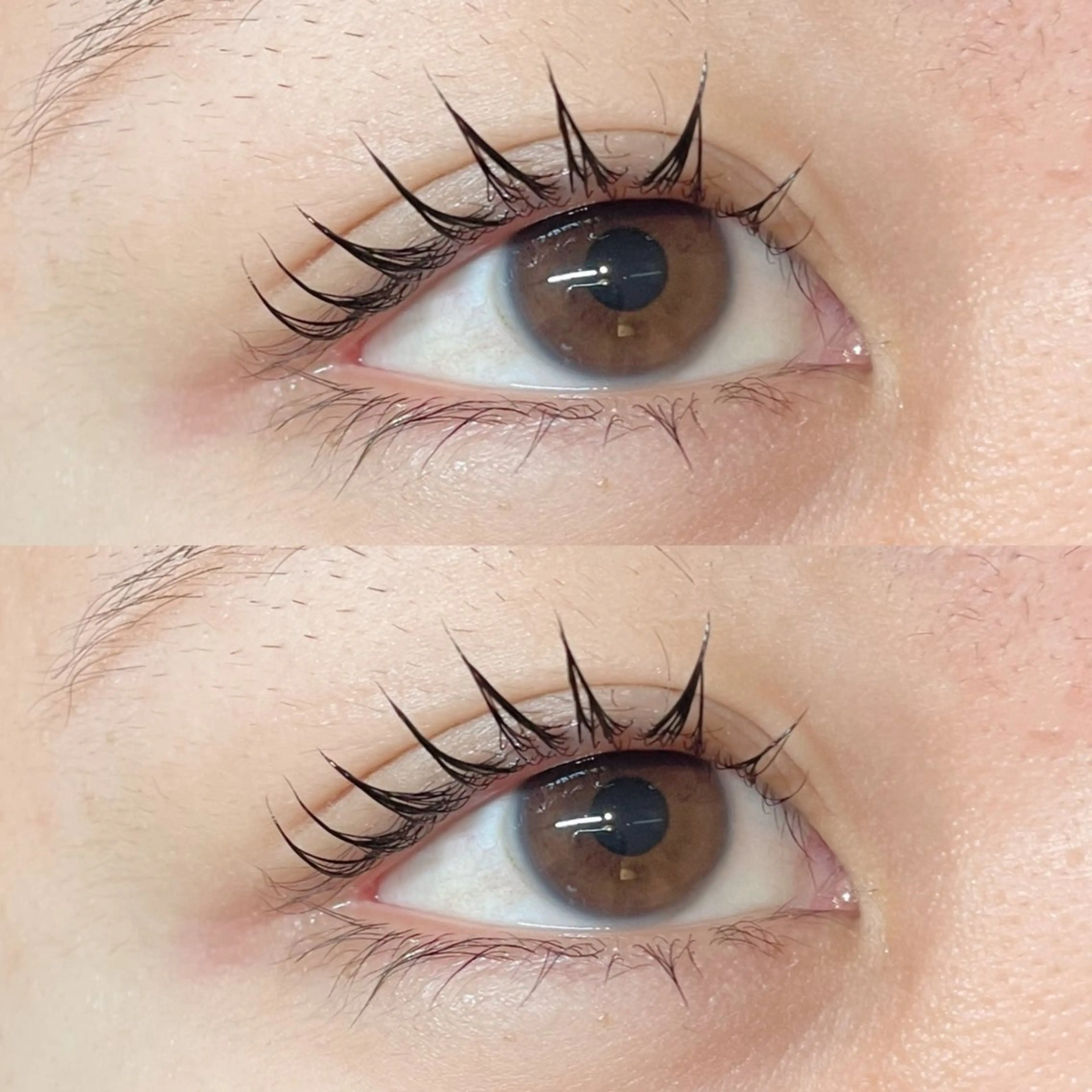 マツエク・マツパ パリジェンヌラッシュリフト cerisier mio/名古屋/黒川のマツエク・マツパデザイン