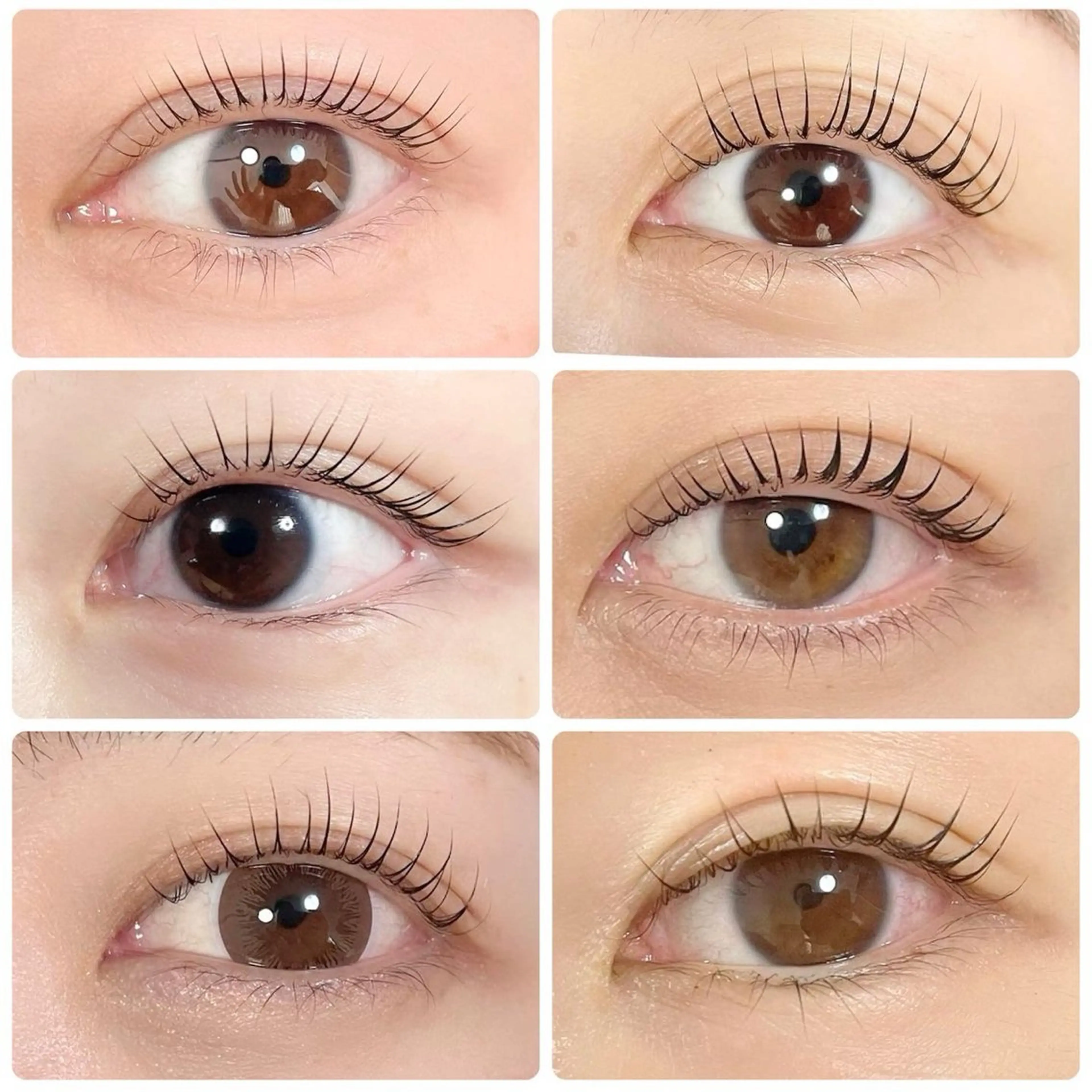 ⭐️学生の再来様クーポンミニモ価格⭐️パリジェンヌラッシュリフト🤍まつ毛パーマ🤍韓国パーマ🤍の写真