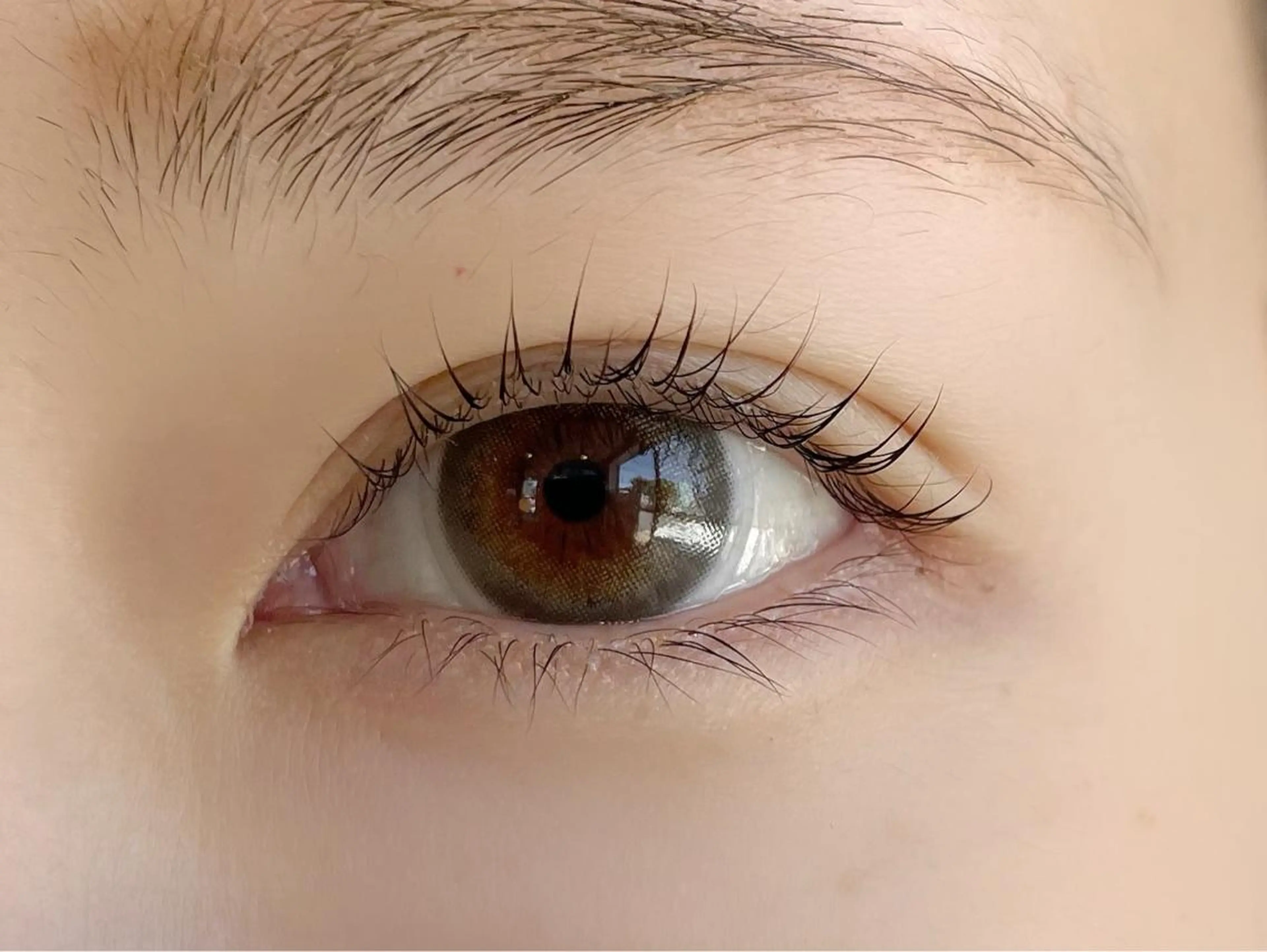 🌸大人気🌸まつげパーマ＋アイシャンプー 5500円　すぐ予約のみの写真