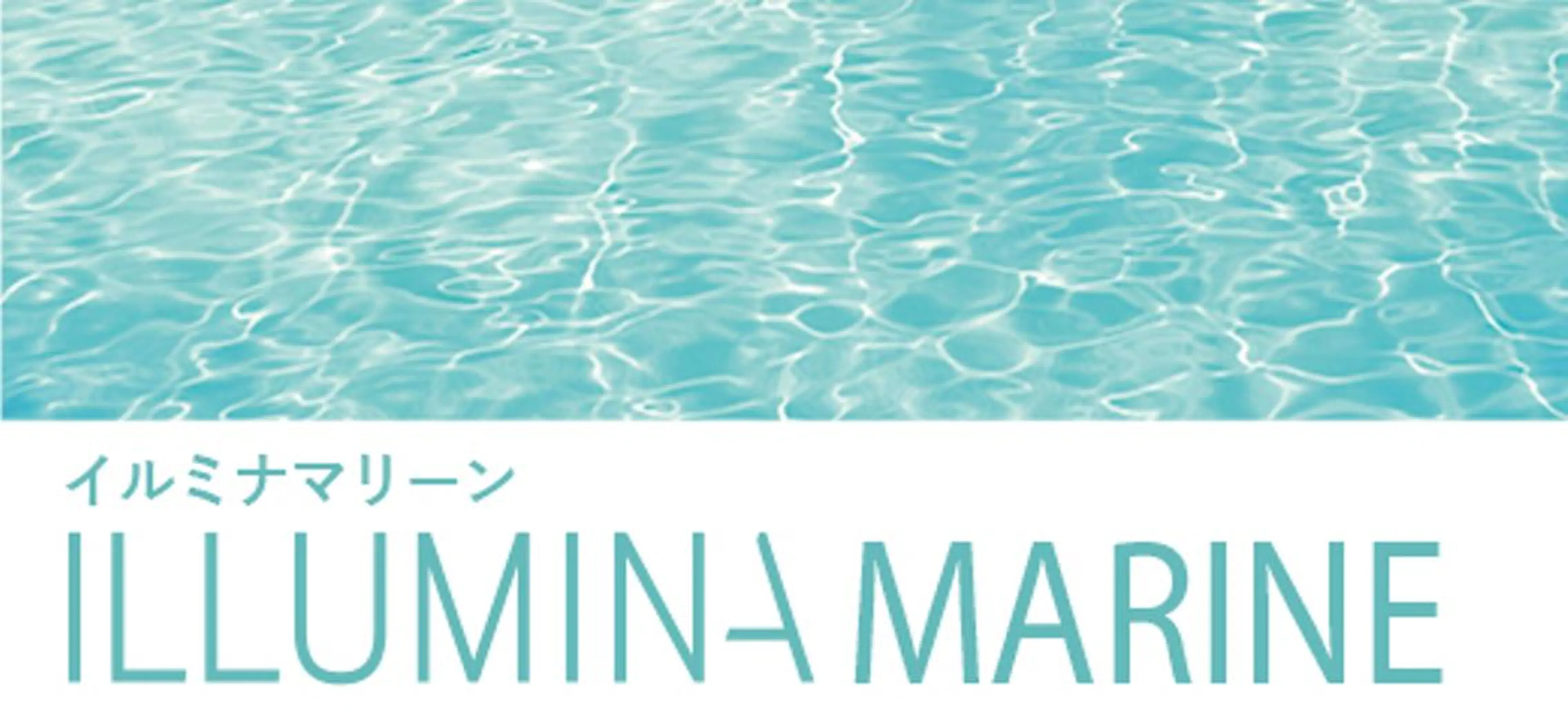 ロング カラー イルミナカラー カミノア所属・1月予約解放しまし たイルミナ公認荒井のヘアスタイル