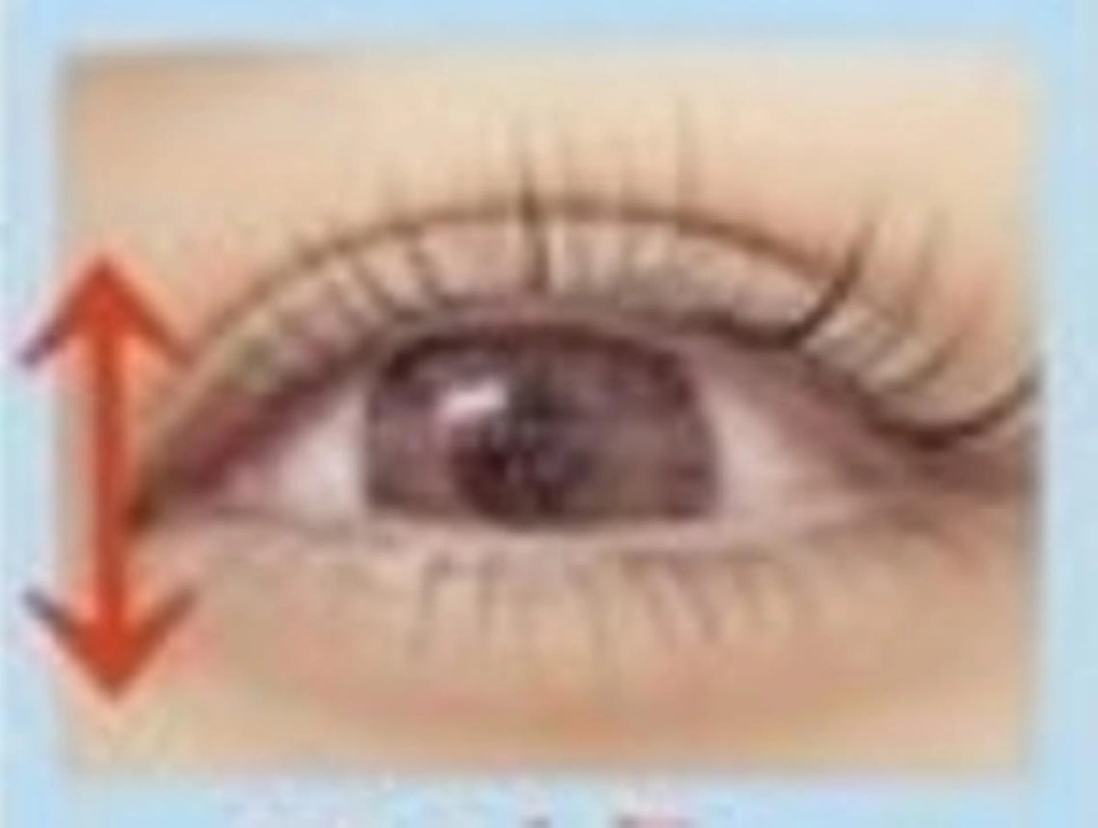 まつ毛パーマ上下の写真