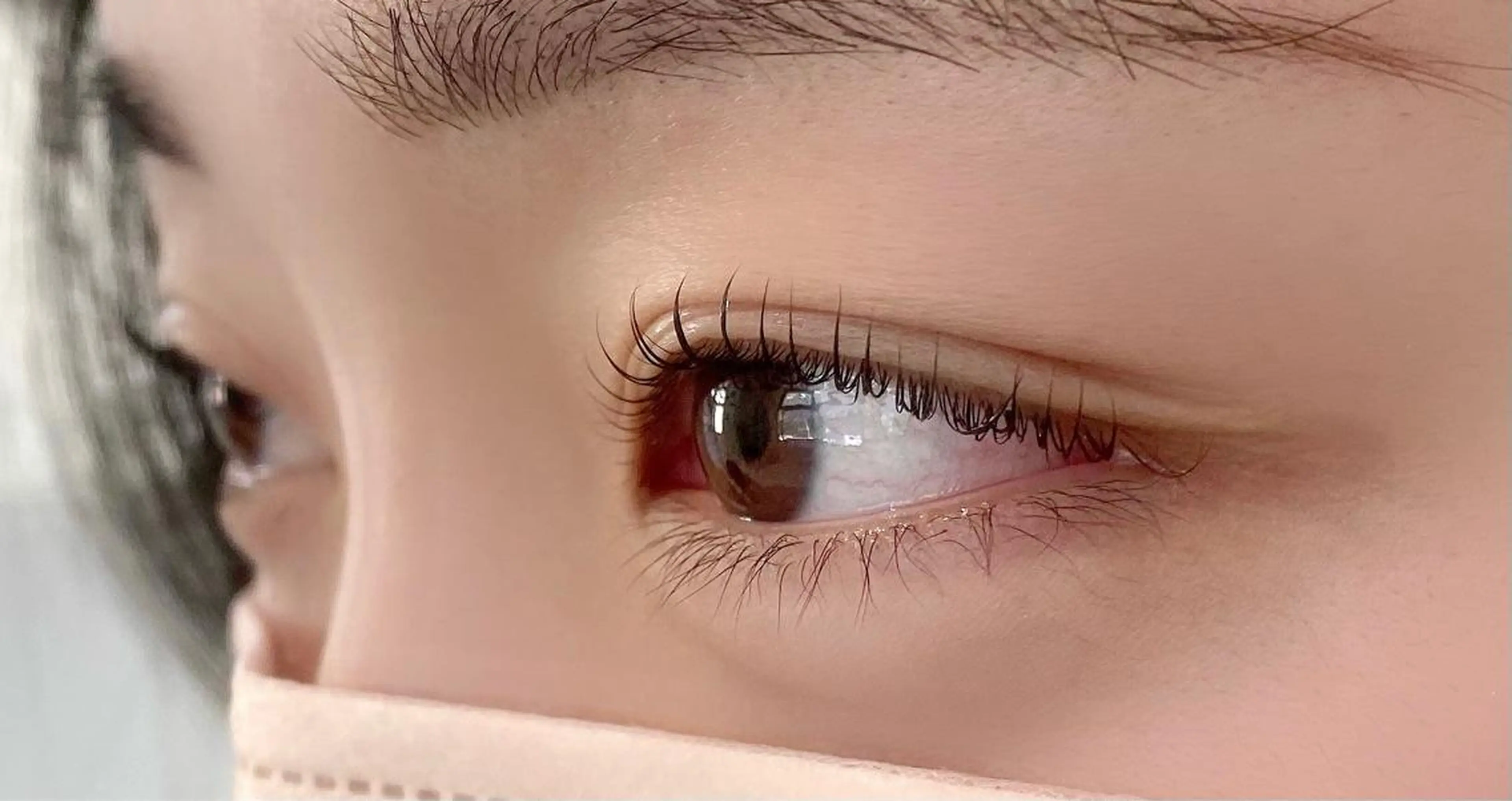 まつ毛パーマ（上）アイシャンプー付の写真