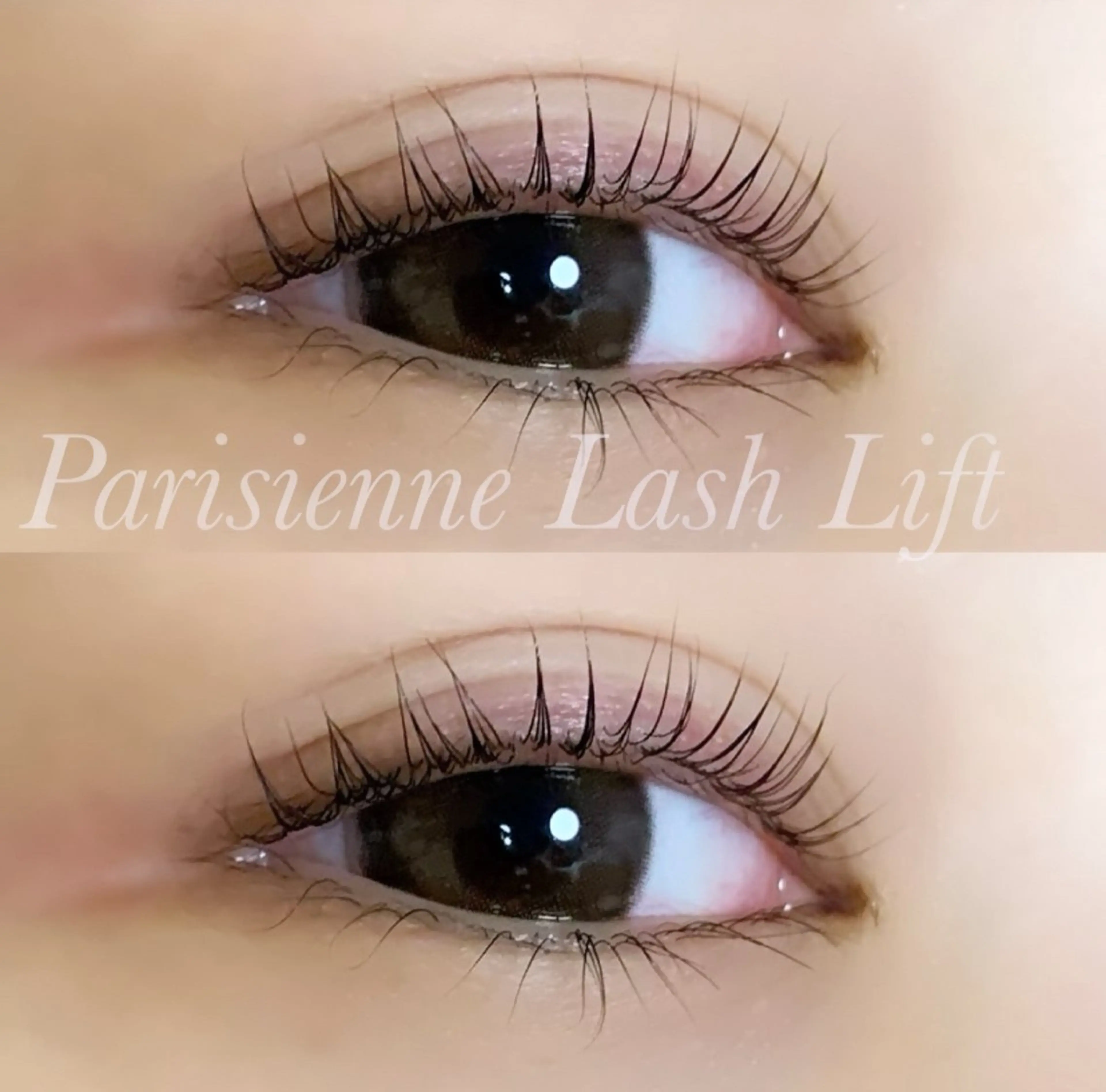 マツエク・マツパ パリジェンヌラッシュリフト マツパ Ayumi.pro 🍆N《4階》のマツエク・マツパデザイン