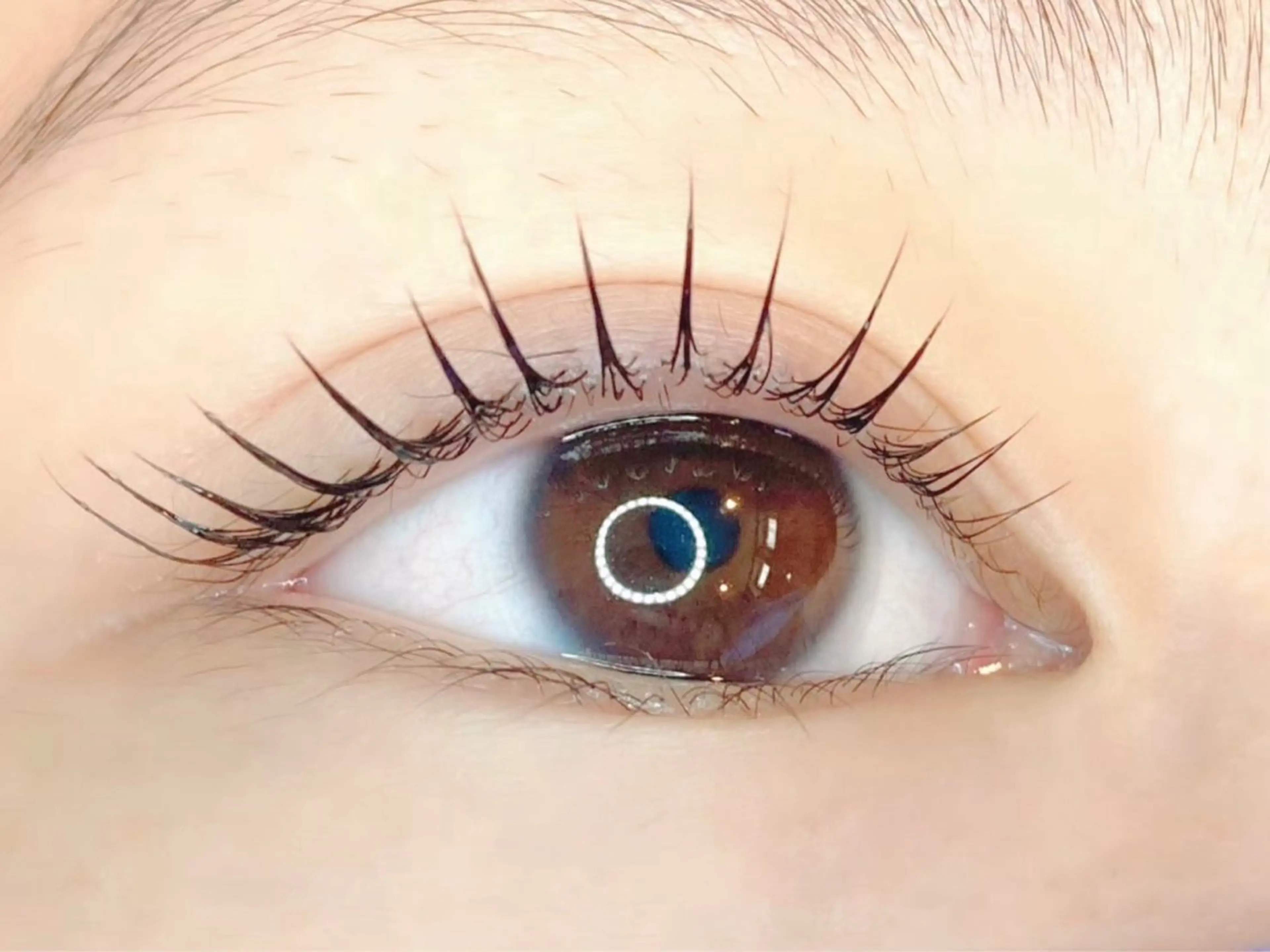 マツエク・マツパ タカミ荒子店所属・川満 望園のマツエク・マツパデザイン