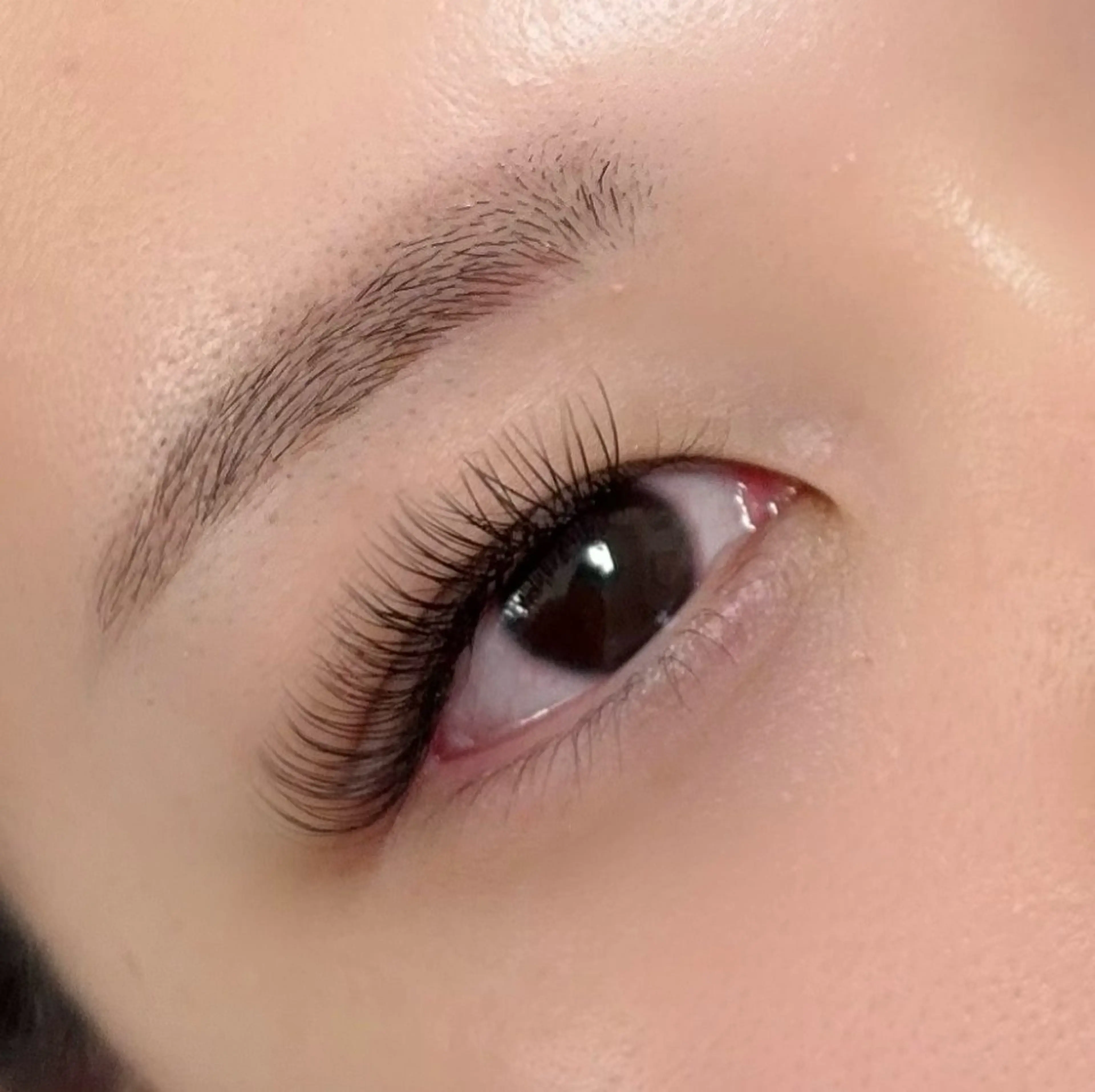 撮影練習モデル○LED×ダブル×フラット/0.15/両目100束200本/ボリューム欲しい方におすすめの写真