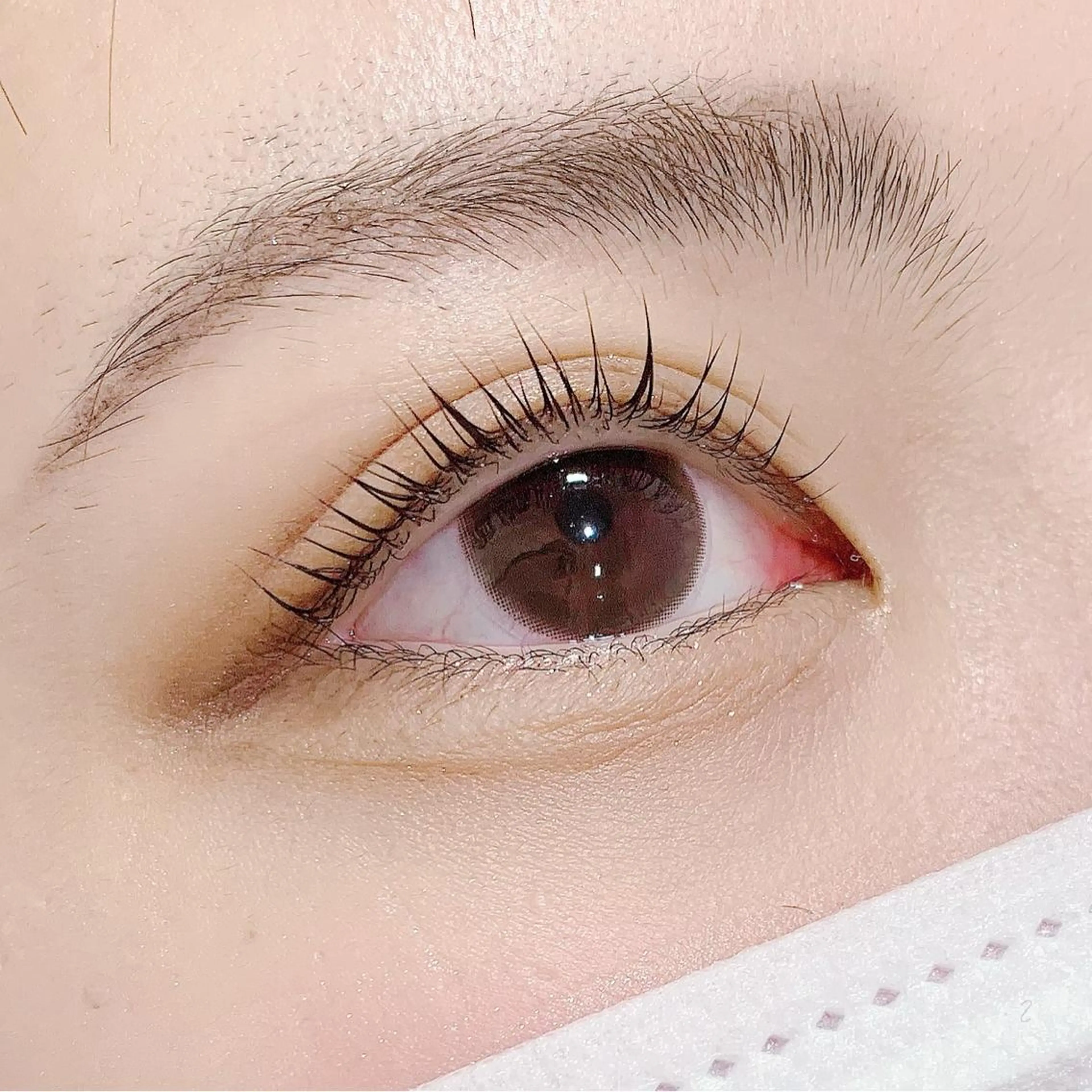 マツエク・マツパ パリジェンヌラッシュリフト 池袋駅韓国風🇰🇷 束感💗Tomoのマツエク・マツパデザイン