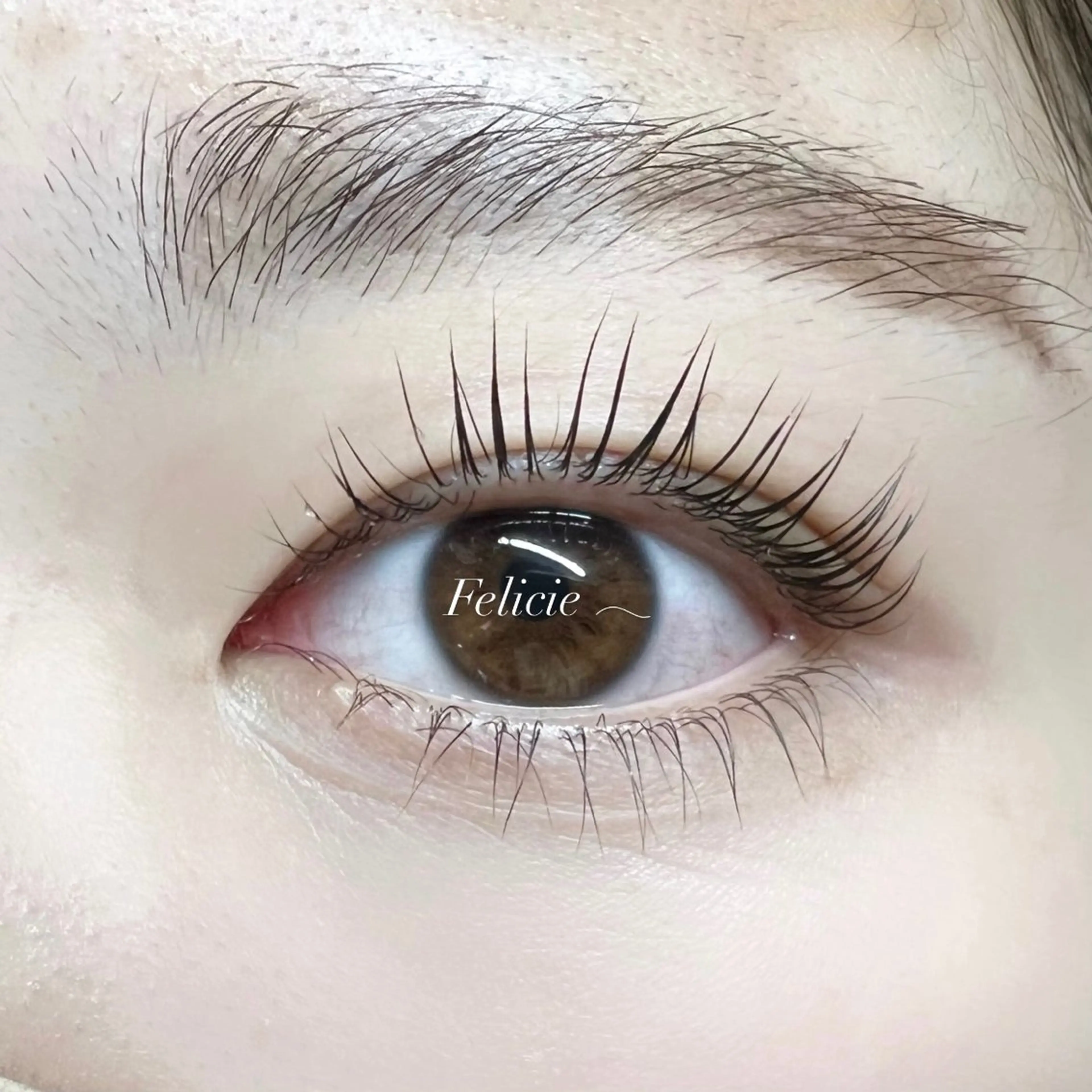 マツエク・マツパ パリジェンヌラッシュリフト マツパ Felicie＊ Sayakaのマツエク・マツパデザイン