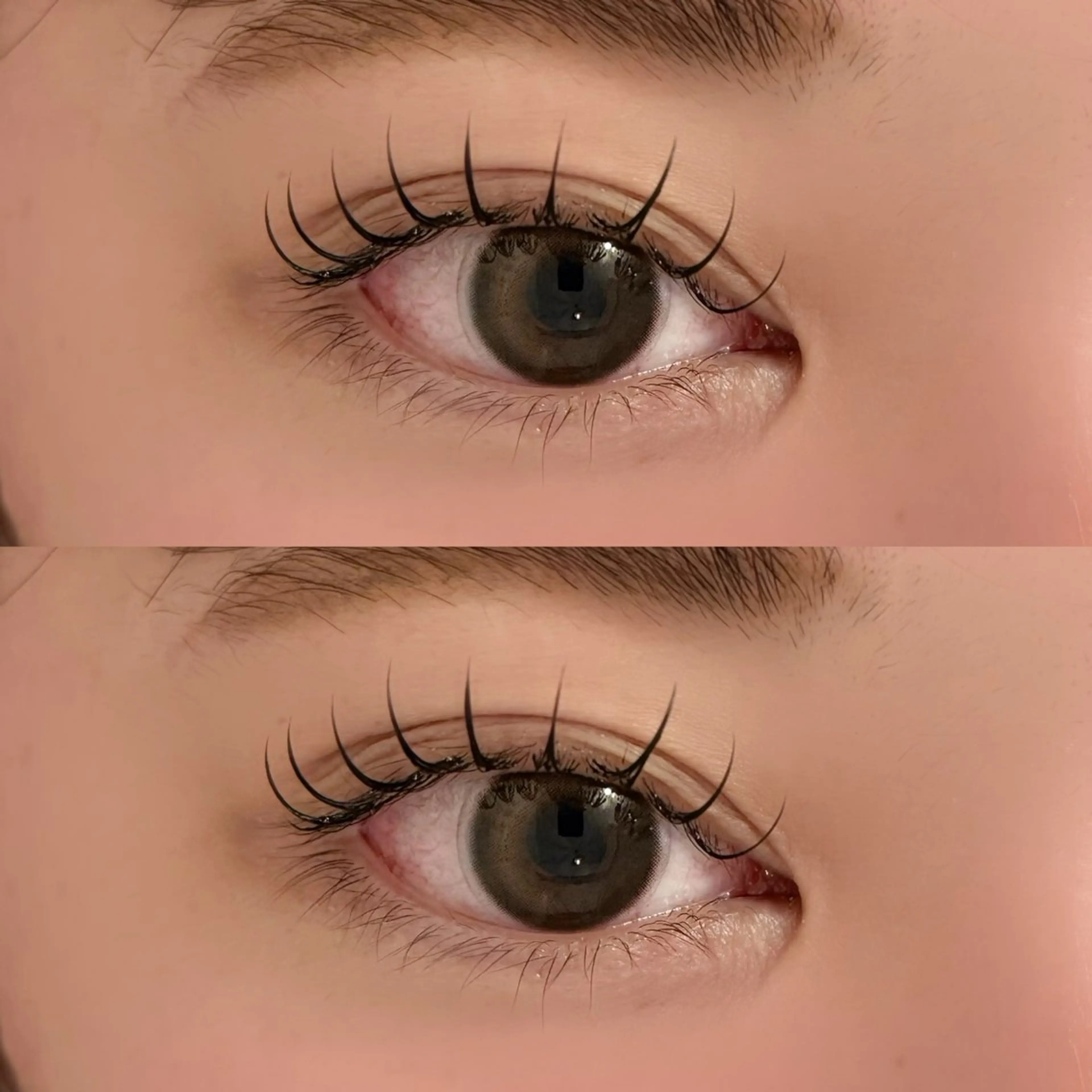 マツエク・マツパ フラットラッシュ マツエク 🐾ROAR🐾 HAZUKIのマツエク・マツパデザイン