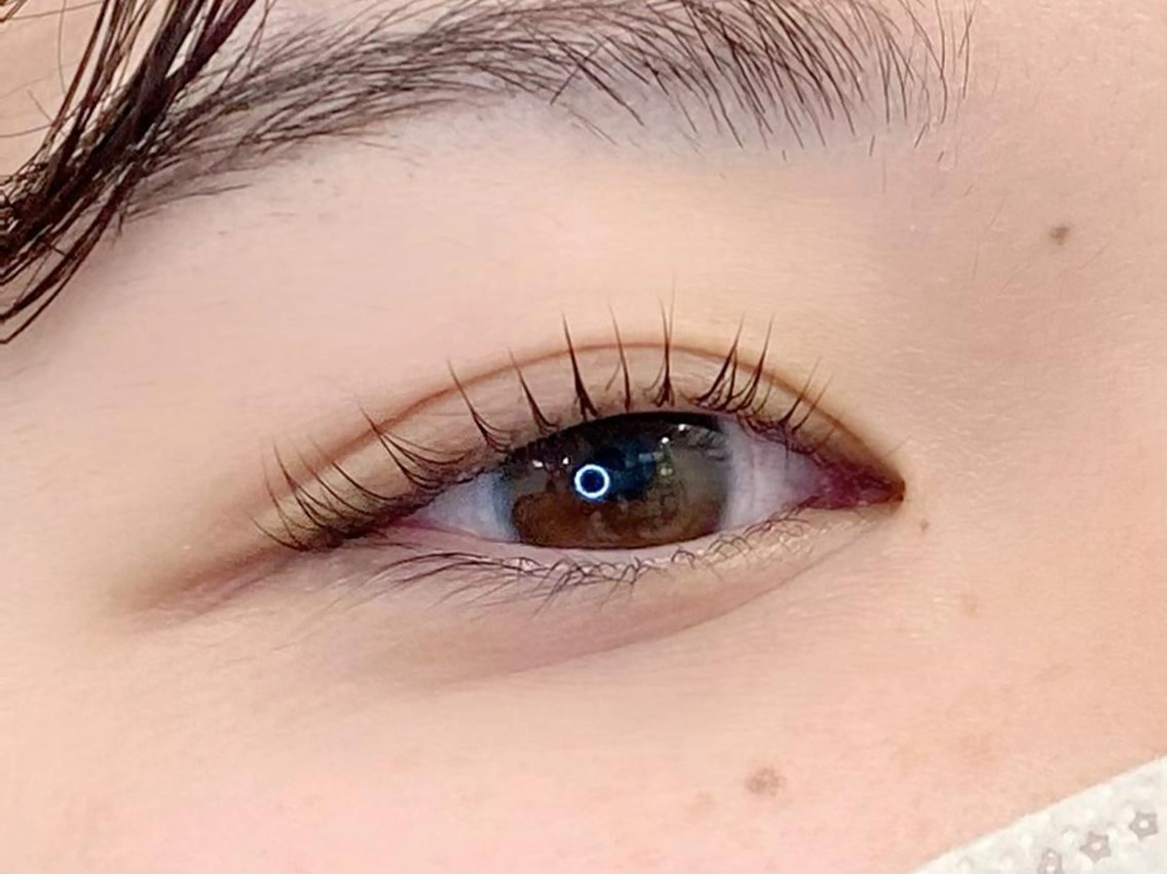 〖 ✧ご新規様限定✧ 〗パリジェンヌラッシュリフト…束感コーティング付✨の写真