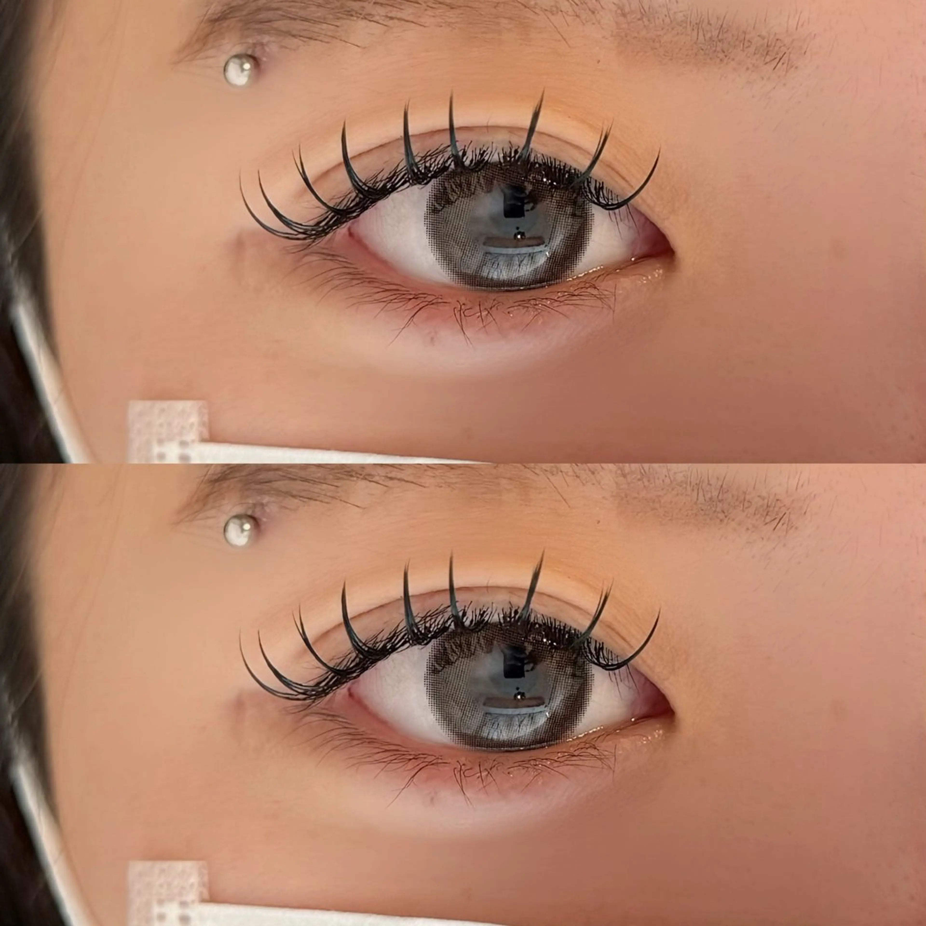 マツエク・マツパ フラットラッシュ マツエク 🐾ROAR🐾 HAZUKIのマツエク・マツパデザイン