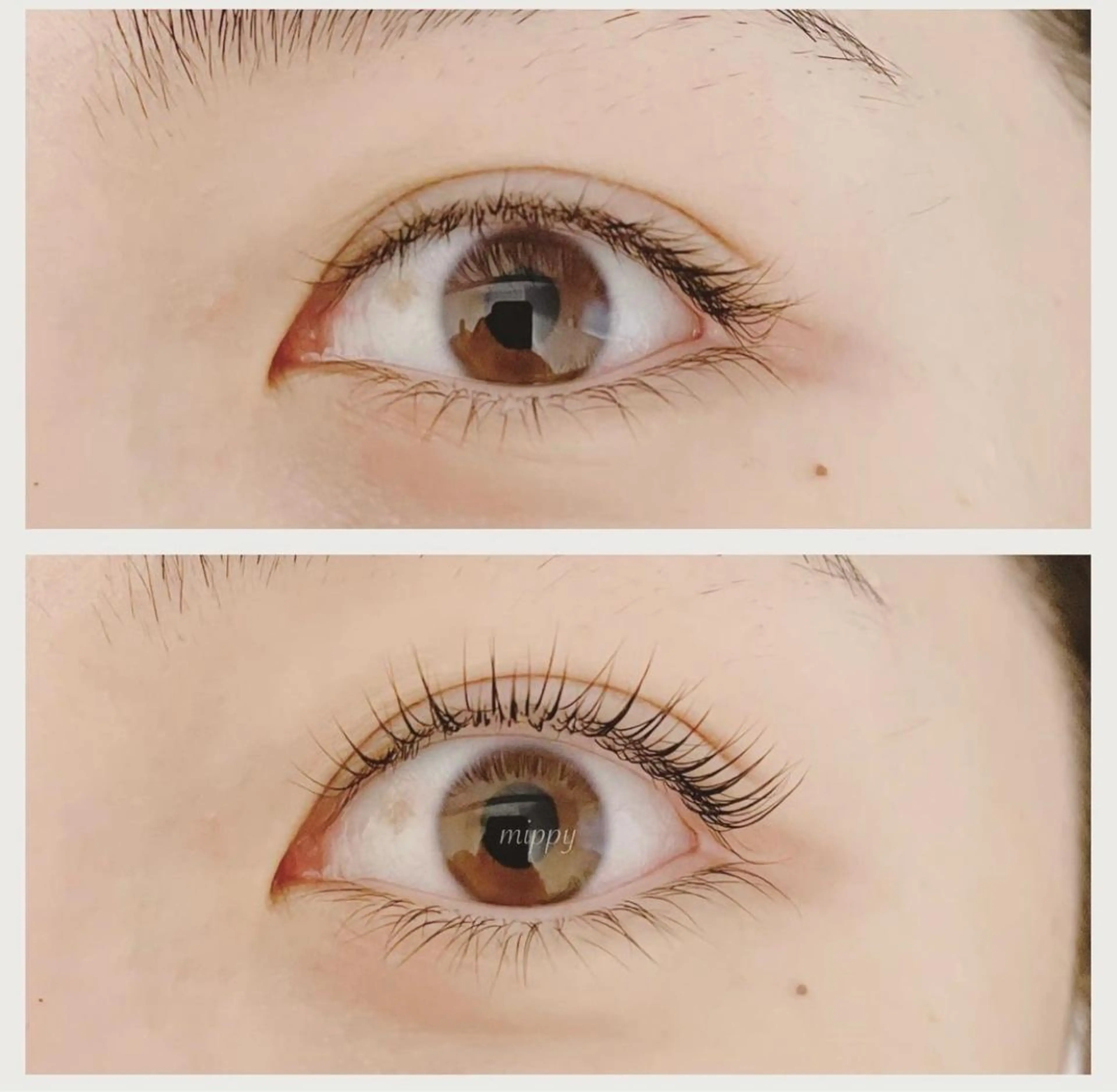 マツエク・マツパ パリジェンヌラッシュリフト ｍｉｐｐｙ 🪽のマツエク・マツパデザイン