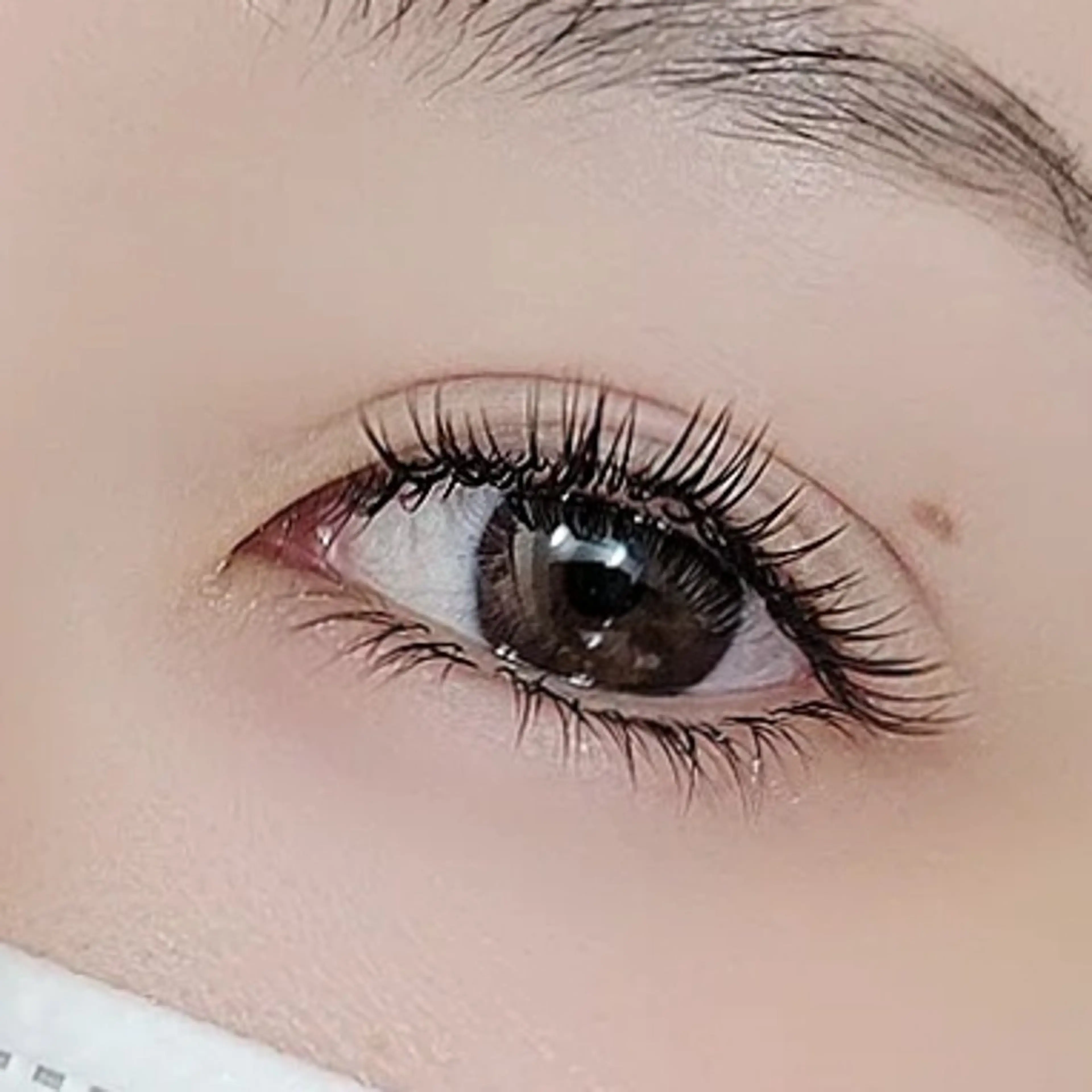 マツエク・マツパ 付け放題 バインドロック 下まつげエクステ Nailsalon Blanchat.所属・プライベートサロン ブランシャのマツエク・マツパデザイン