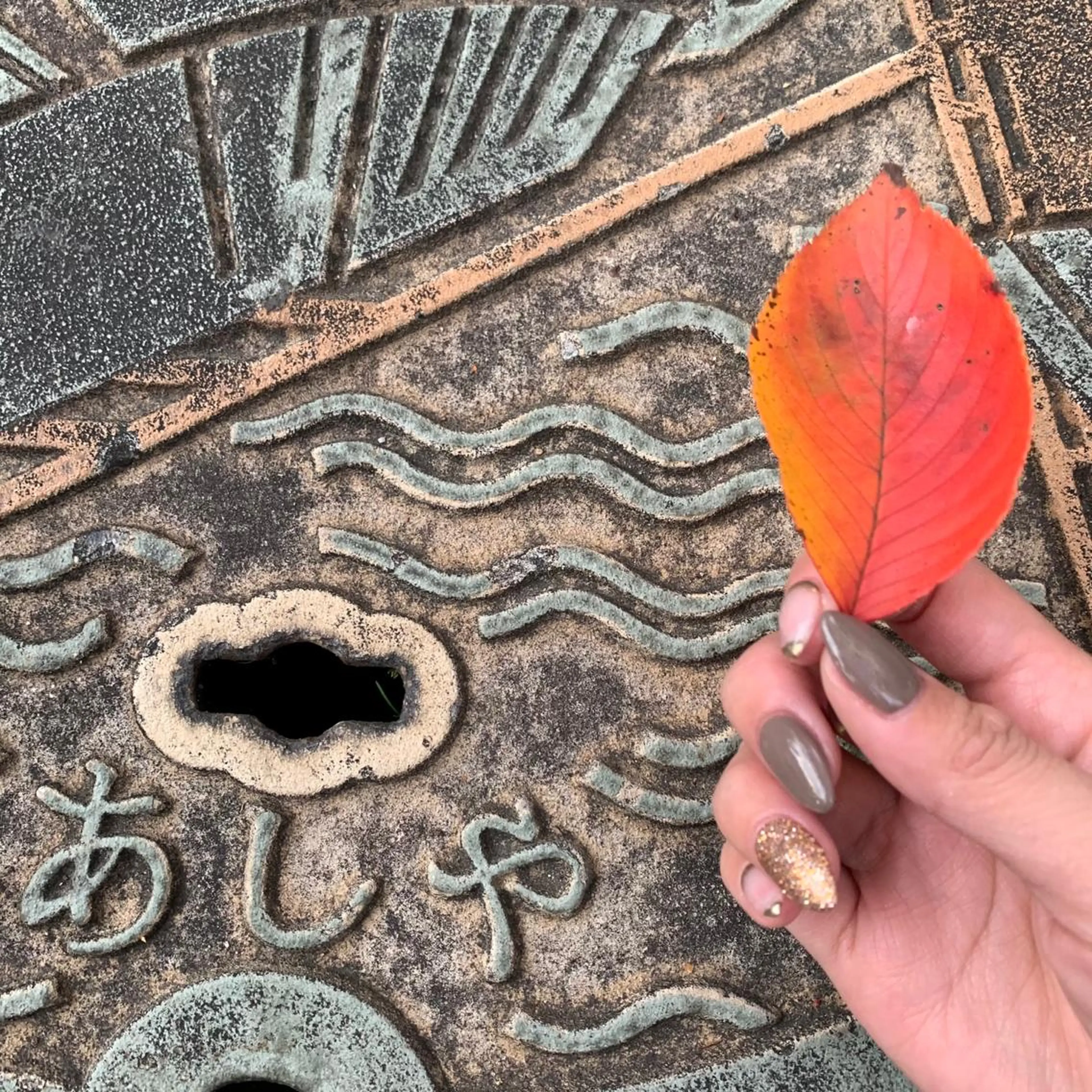 オフのみソフトジェルの写真