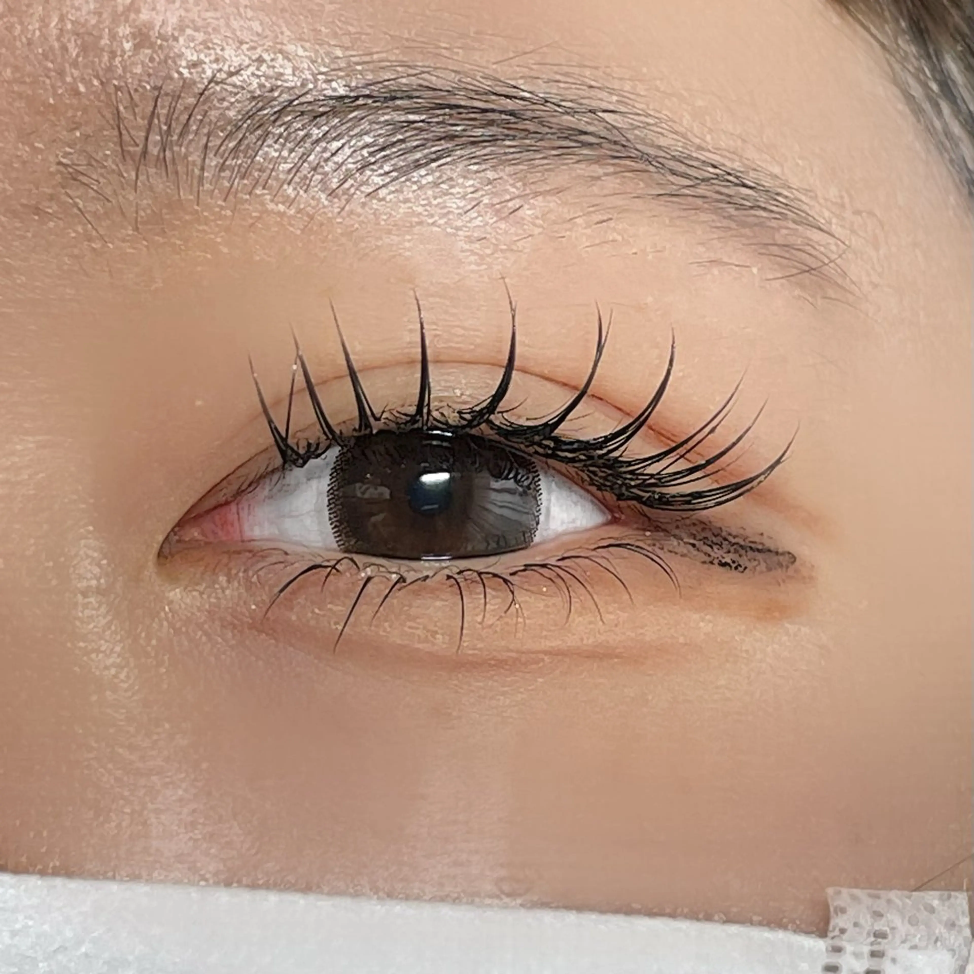 マツエク・マツパ 下まつげエクステ NANA Milano所属・yuuka Fのマツエク・マツパデザイン