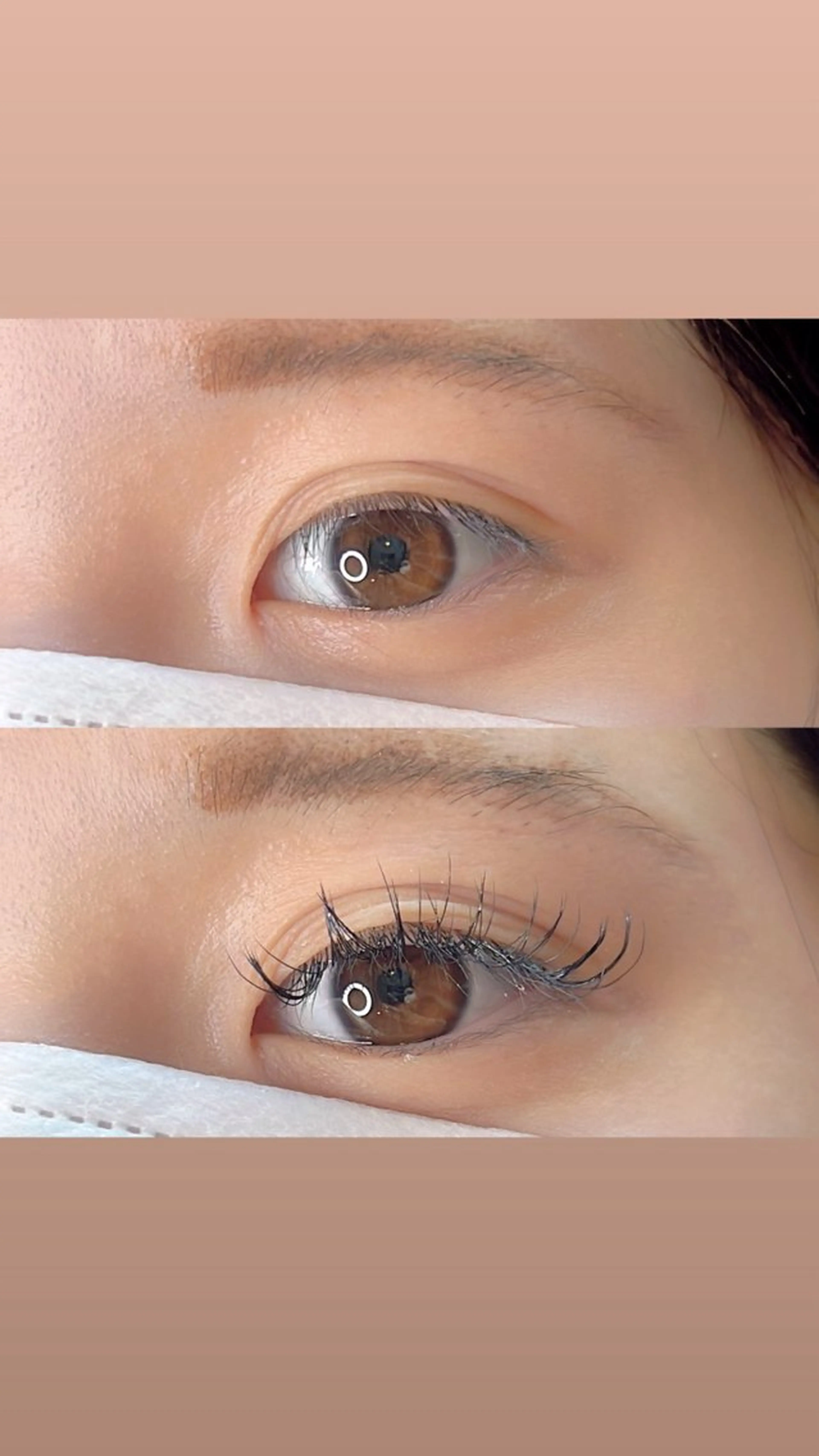 マツエク・マツパ Dカール BerryEyes町田店所属・BerryEyes 町田店のその他イメージ