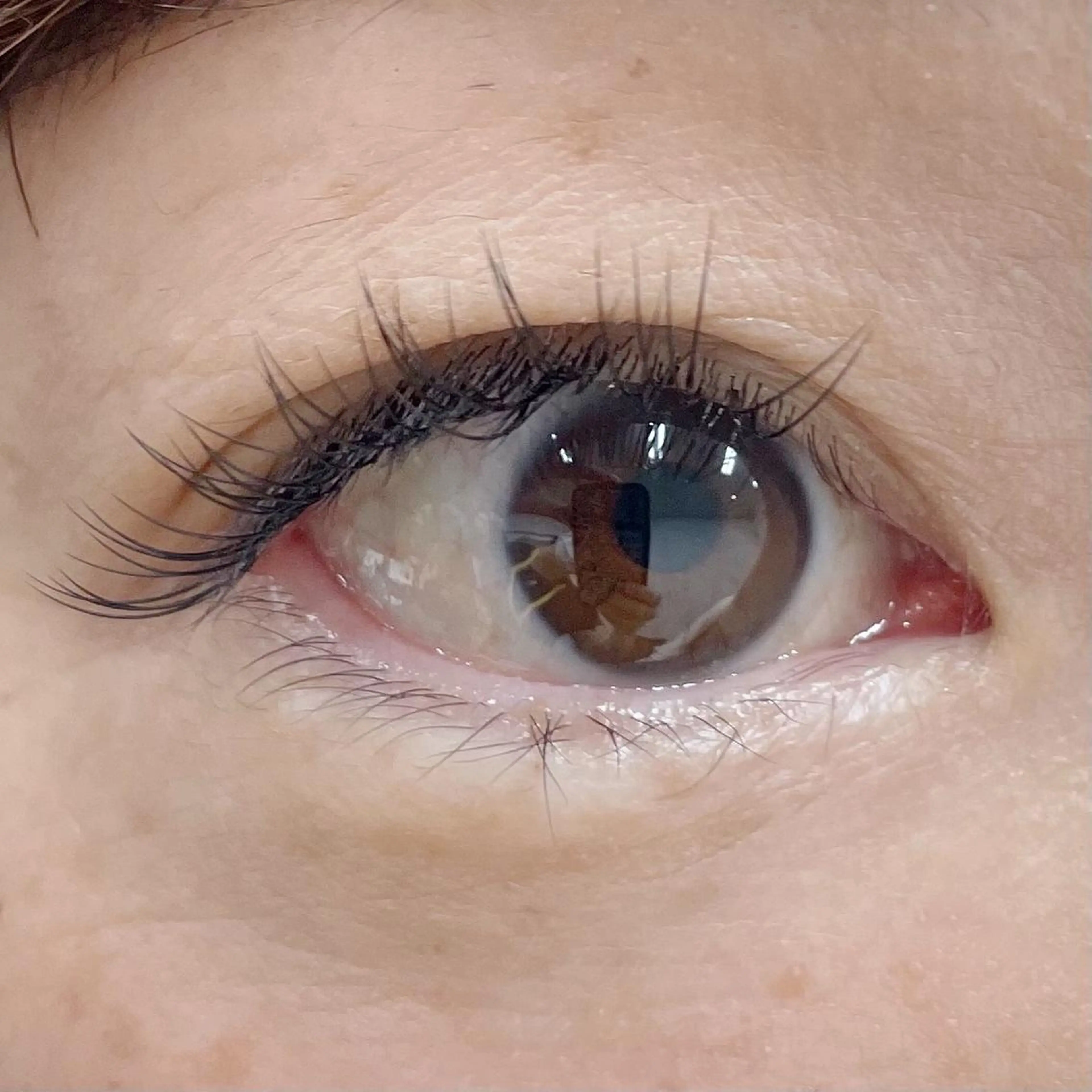 マツエク・マツパ Cカール ナチュラル セーブル yuzuka ❤︎のマツエク・マツパデザイン