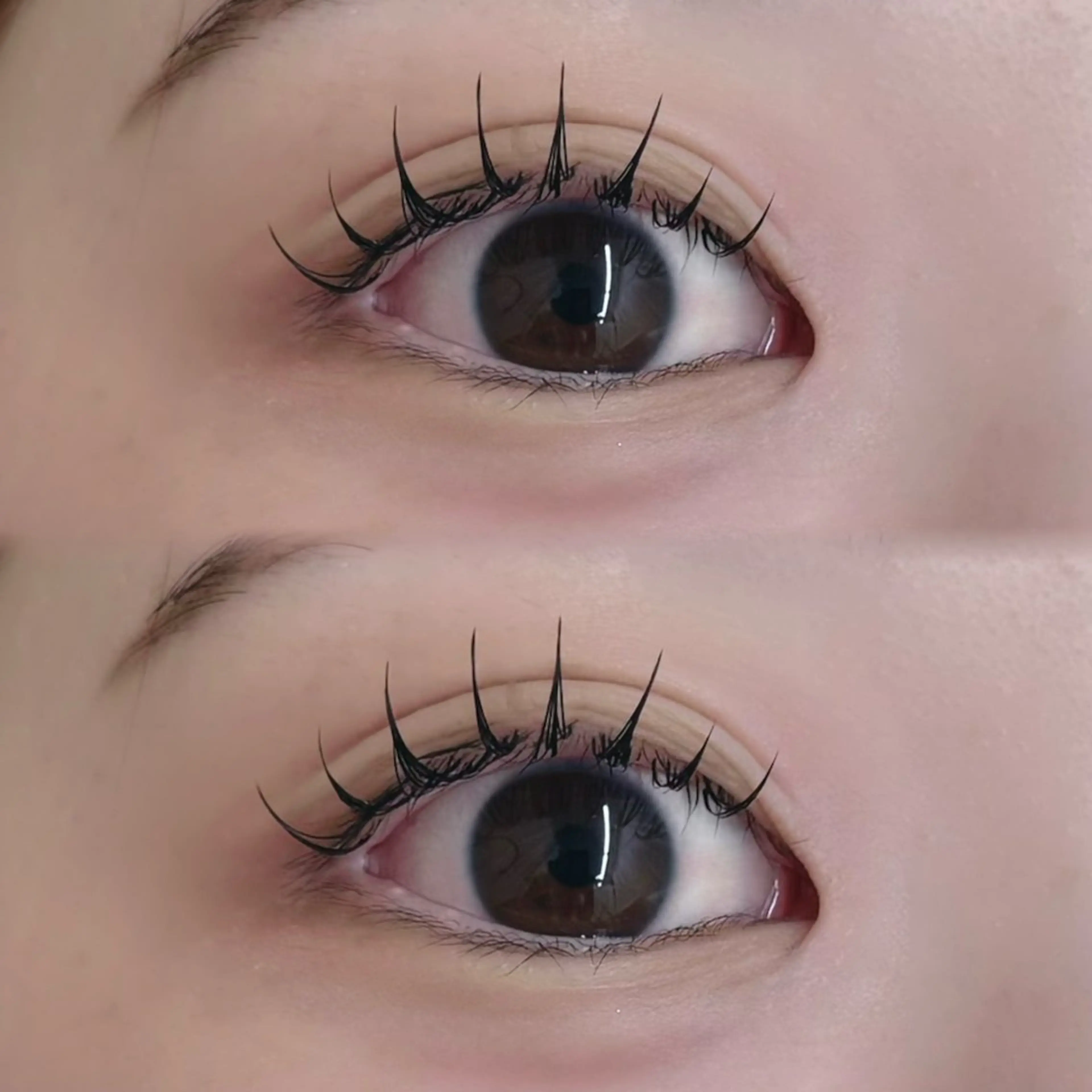 (持続力◎)バインドラッシュ50束(フラットラッシュ100本)コーティング仕上げ付きの写真