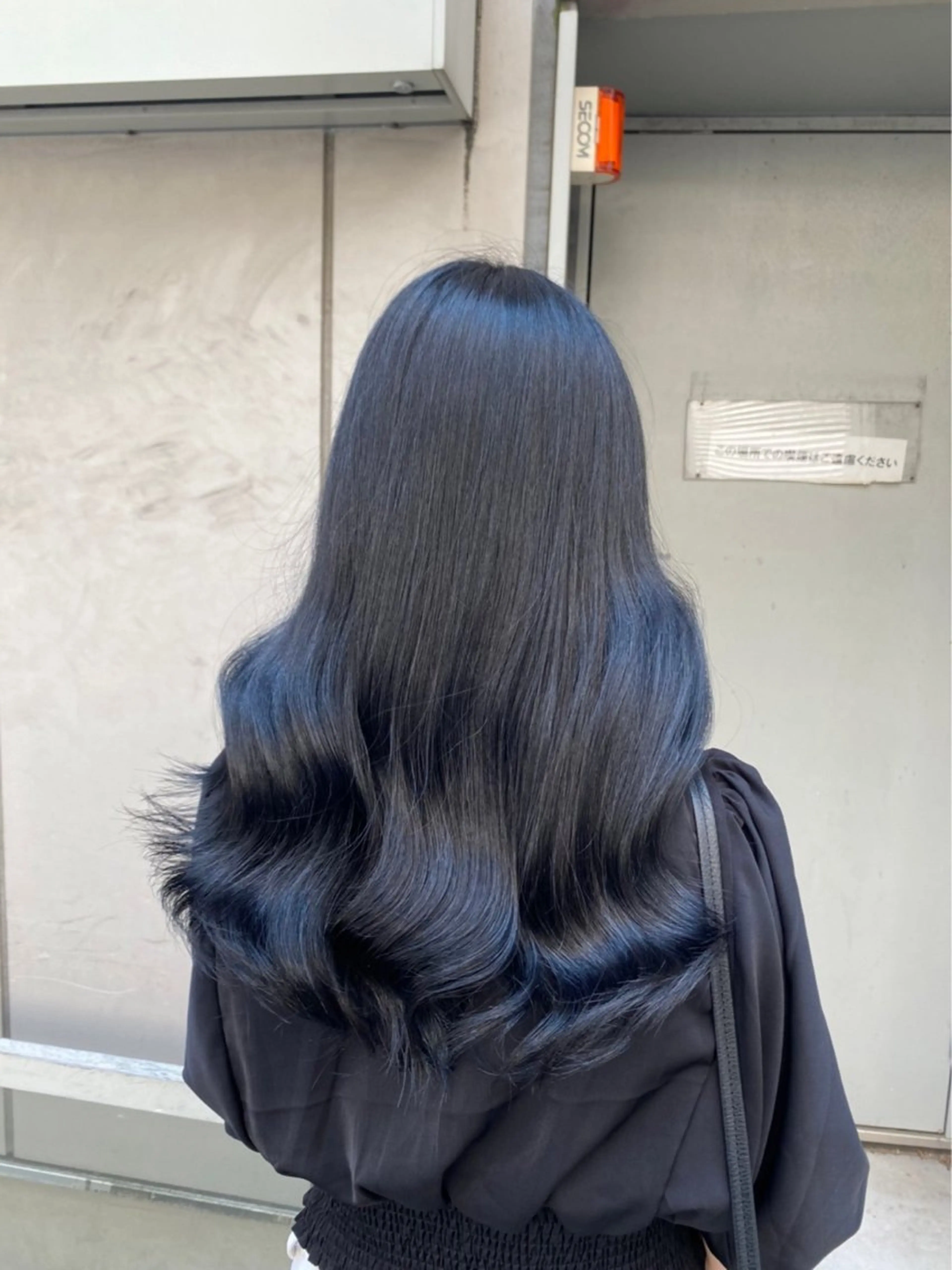 ロング カラー ヘアアレンジ 黒髪 ブリーチ ブルーカラー ブルーブラック 透明感カラー 色気ある大人カラー /ブリーチなしのヘアスタイル