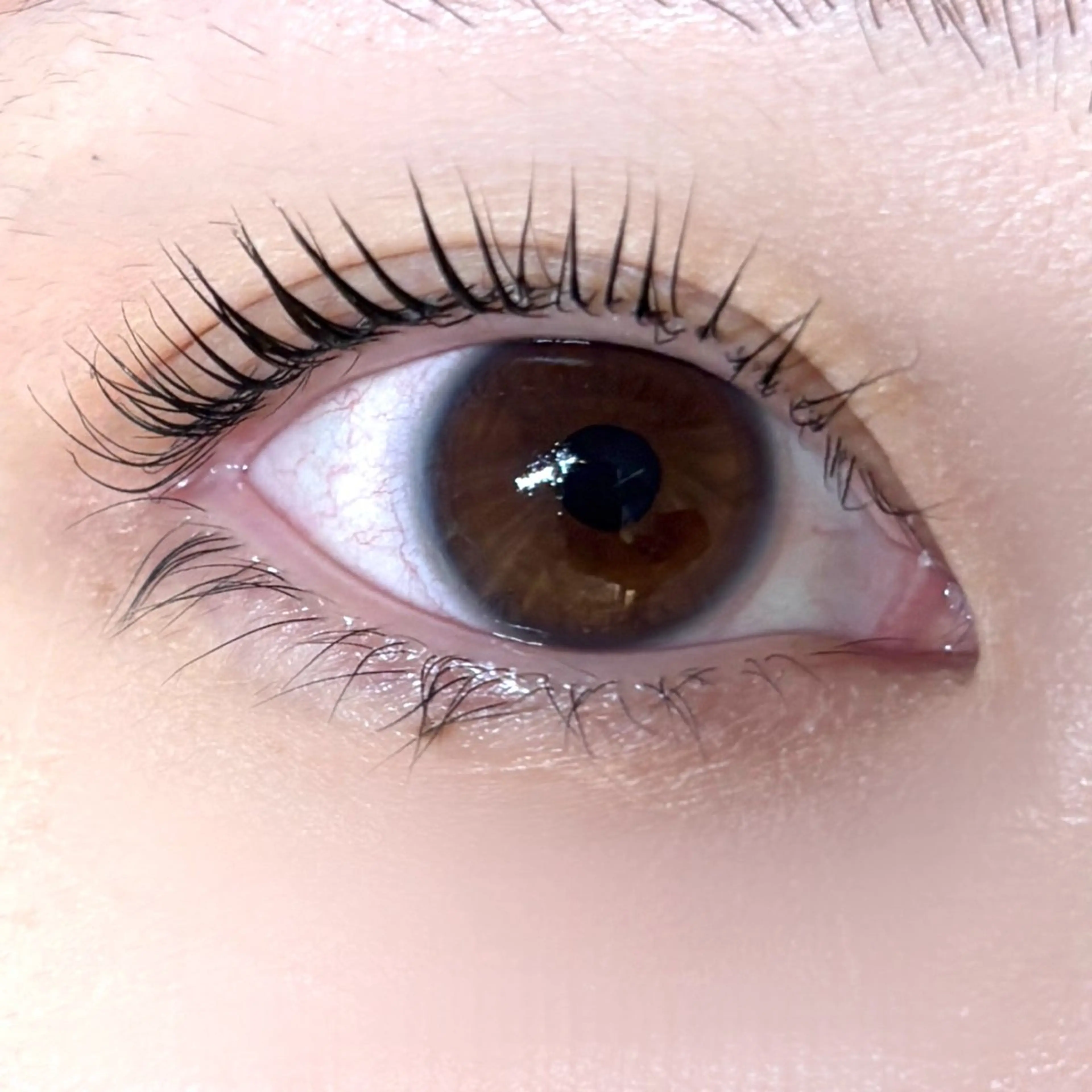 マツエク・マツパ jessica🪽 yoshida🩰のマツエク・マツパデザイン