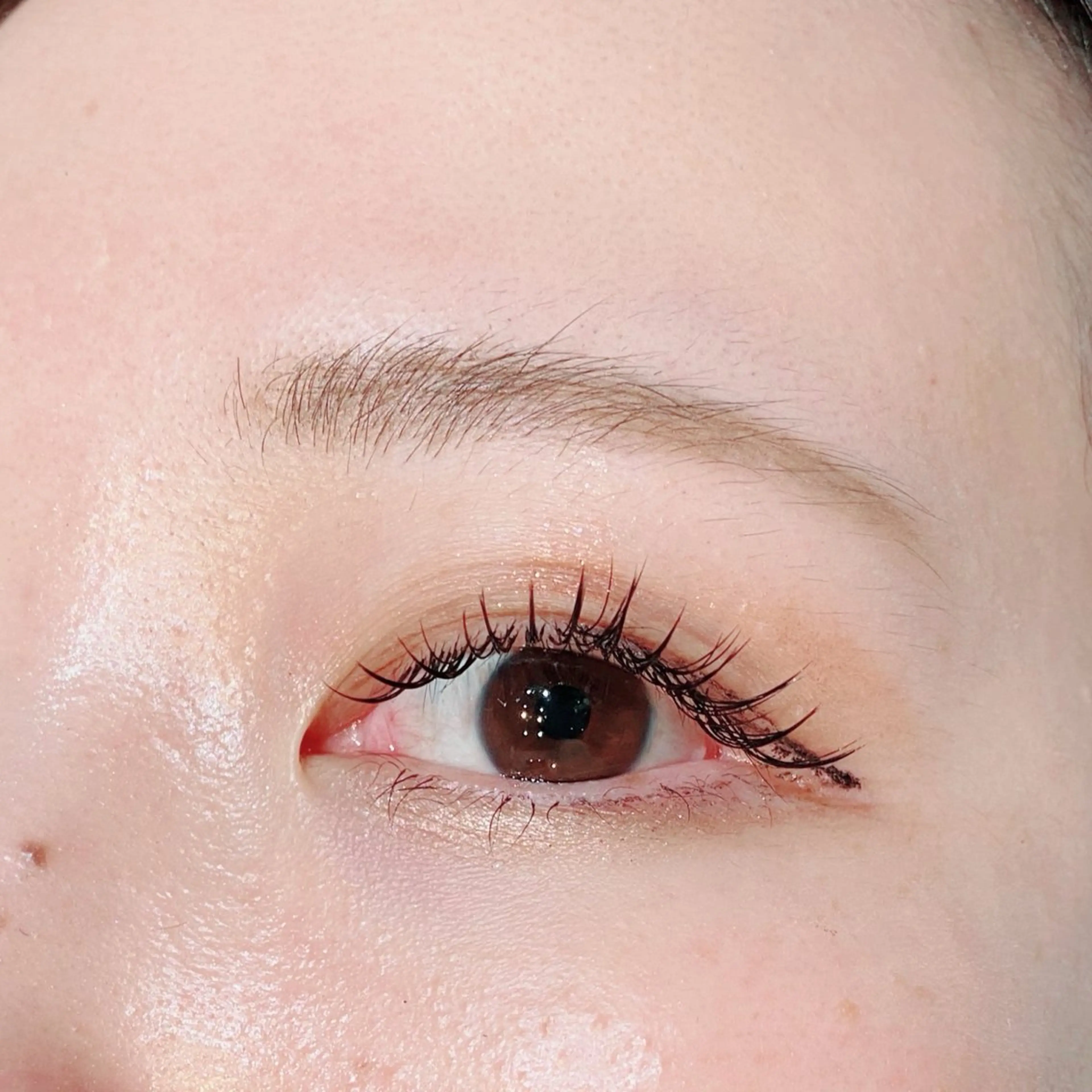 マツエク・マツパ Cカール セーブル haru所属・眉サロンharu 表参道🤍岡本の眉毛・アイブロウイメージ