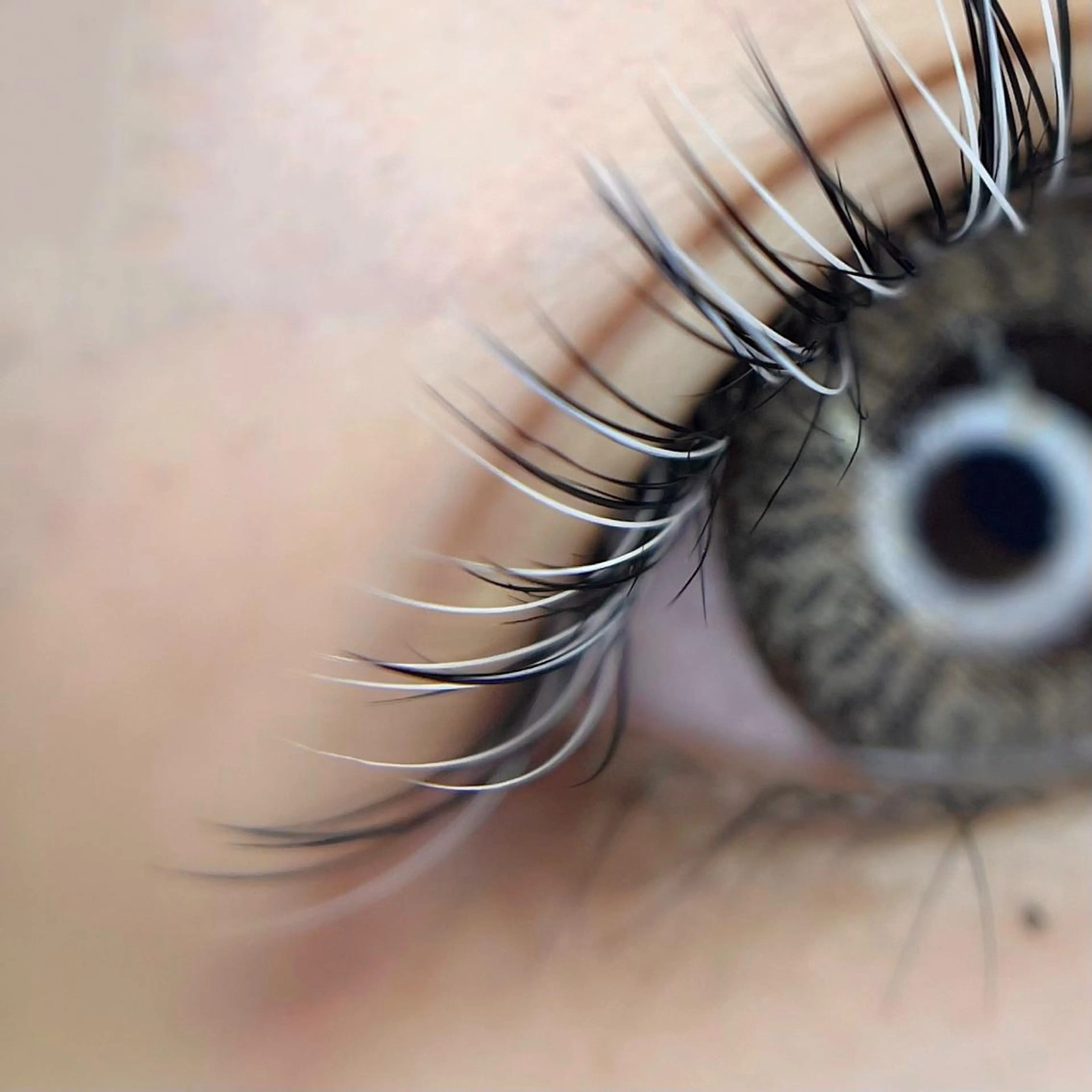 マツエク・マツパ li'l eyelashのマツエク・マツパデザイン