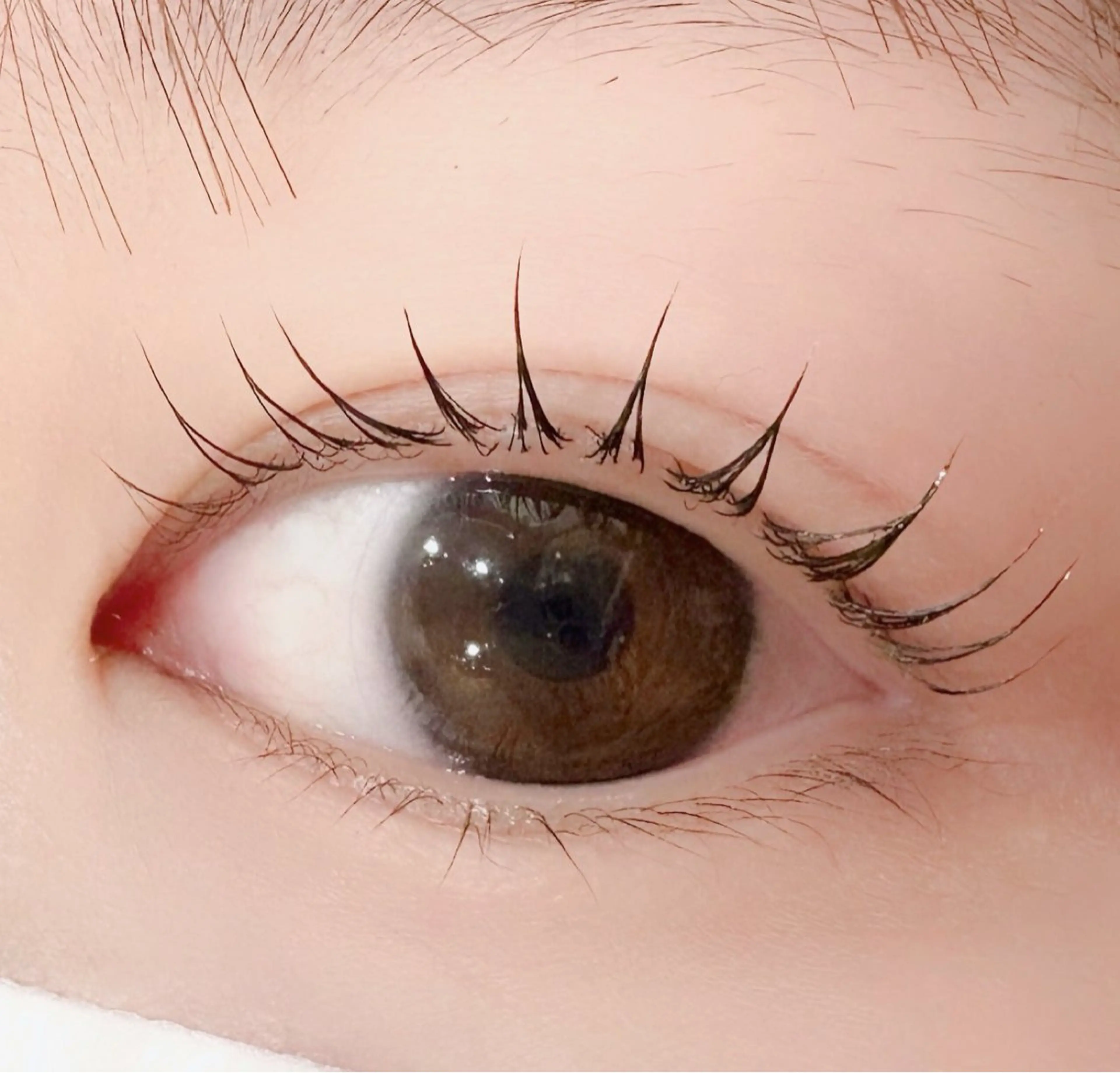 マツエク・マツパ マツパ mecotto大宮店 店長MAKI似合わせのマツエク・マツパデザイン