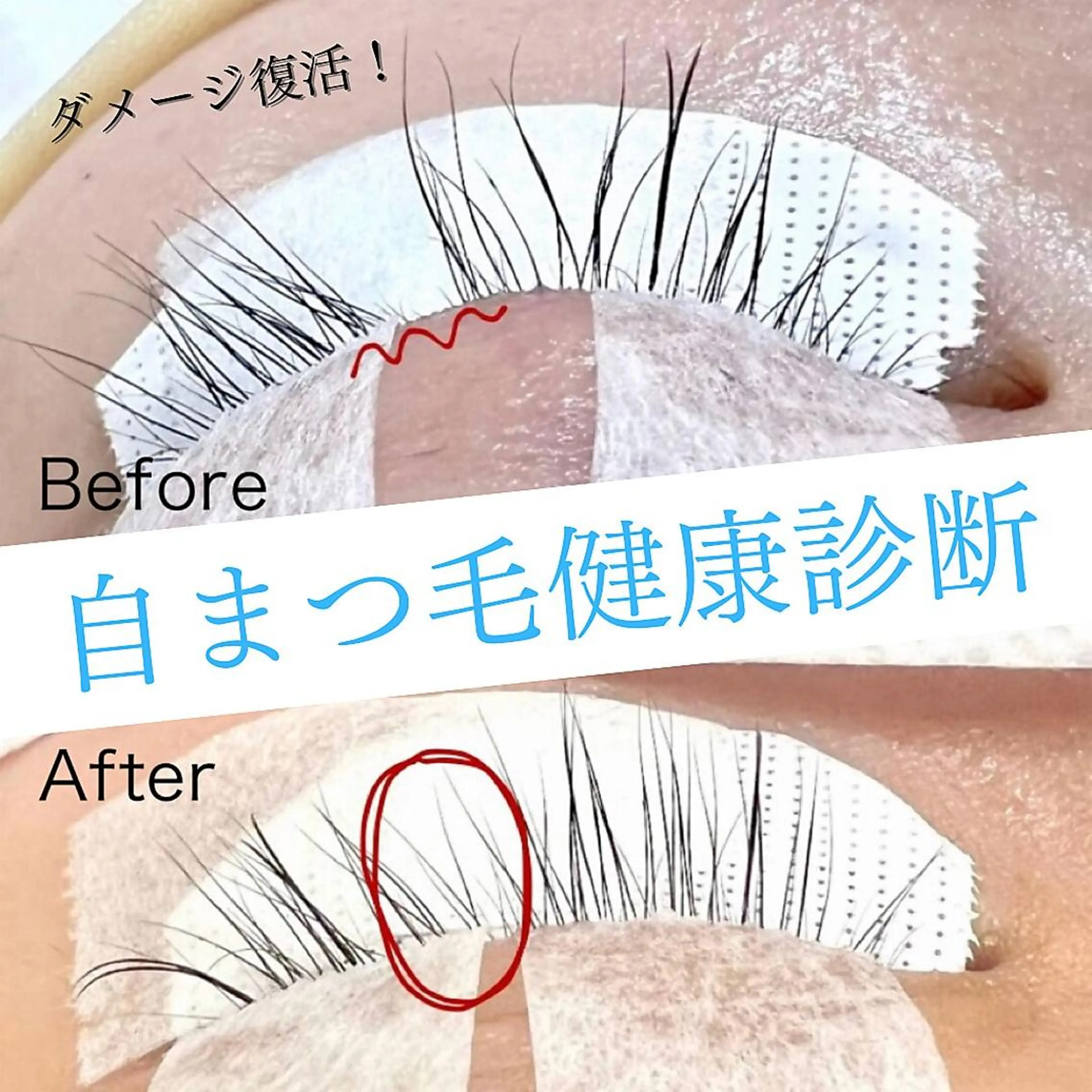 マツエク・マツパ Lesherima レシェリマスクールのマツエク・マツパデザイン