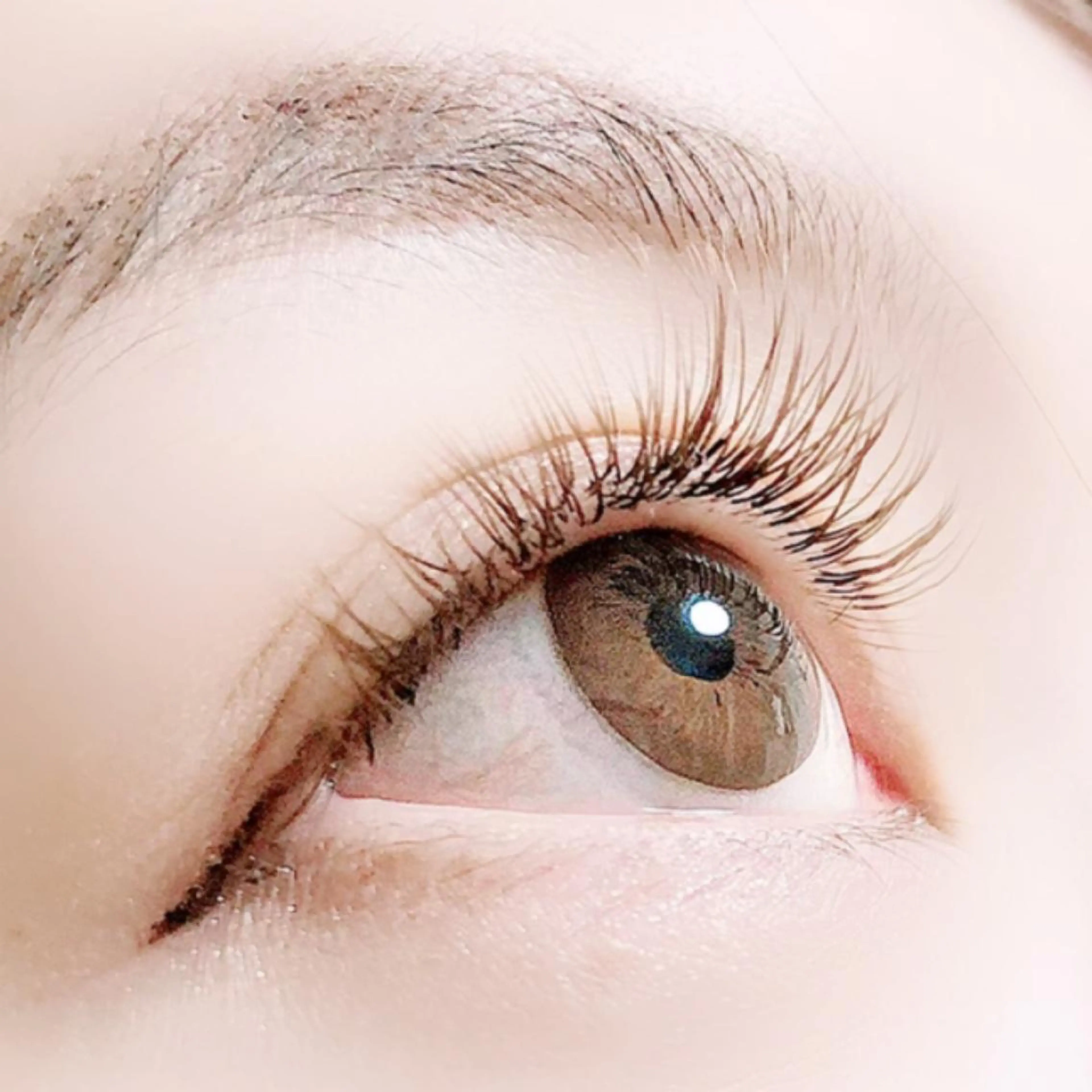 マツエク・マツパ カラーマツエク マツエク Hase　本八幡 🧸マツエク専門🧸のマツエク・マツパデザイン