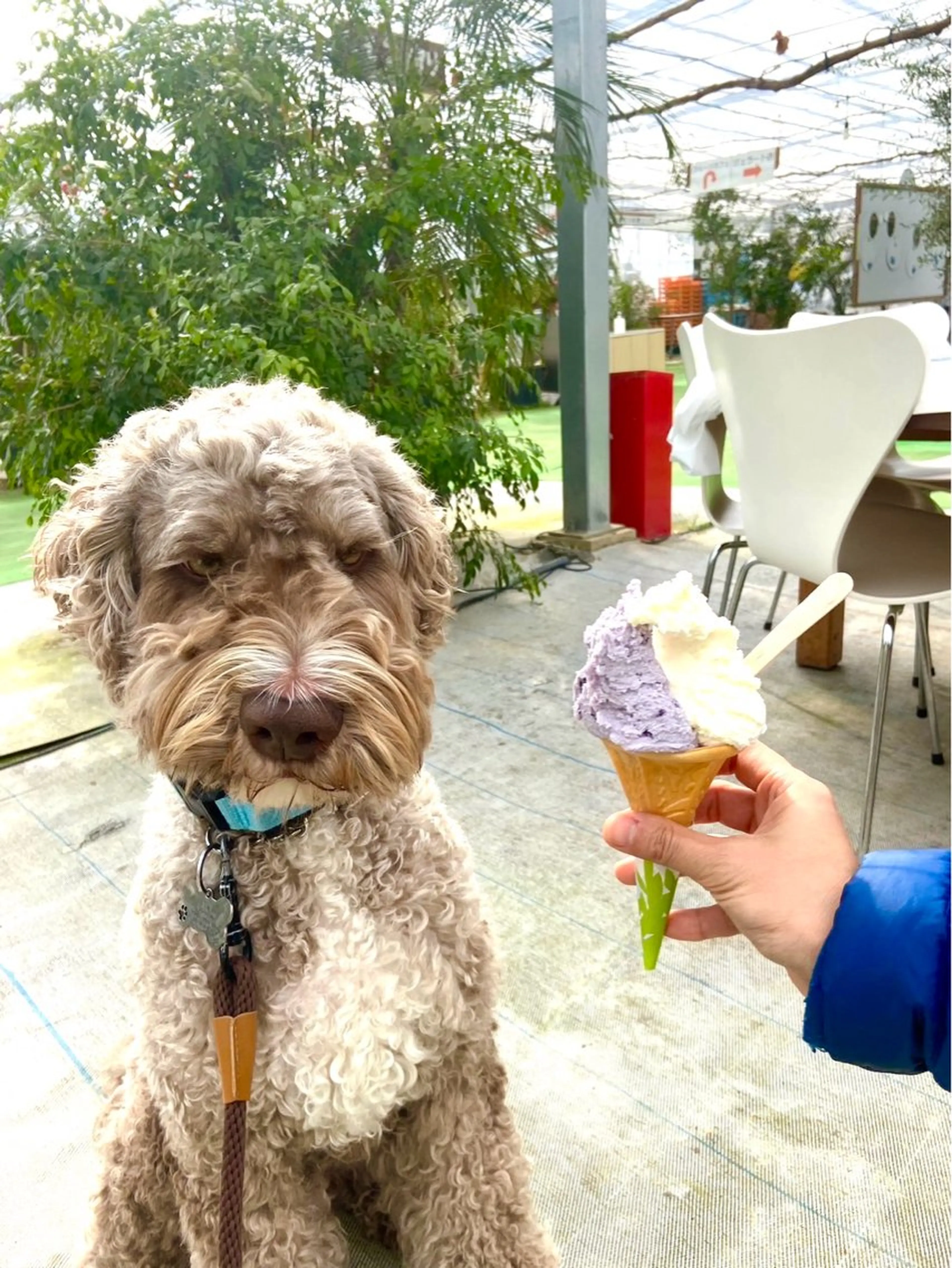 どれにするかお悩みの方へ😊の写真