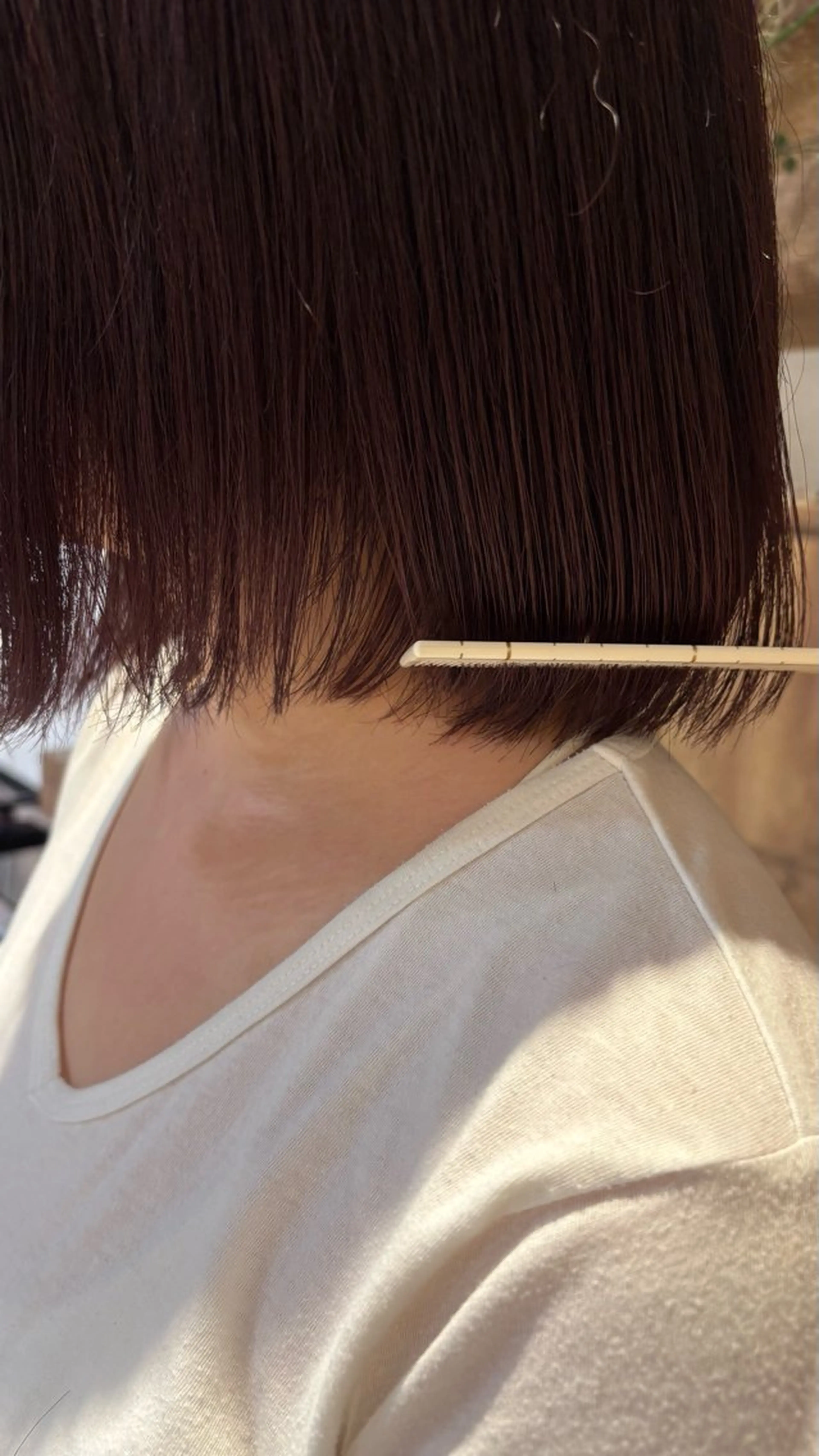 ショート カラー 上野 恵子のヘアスタイル