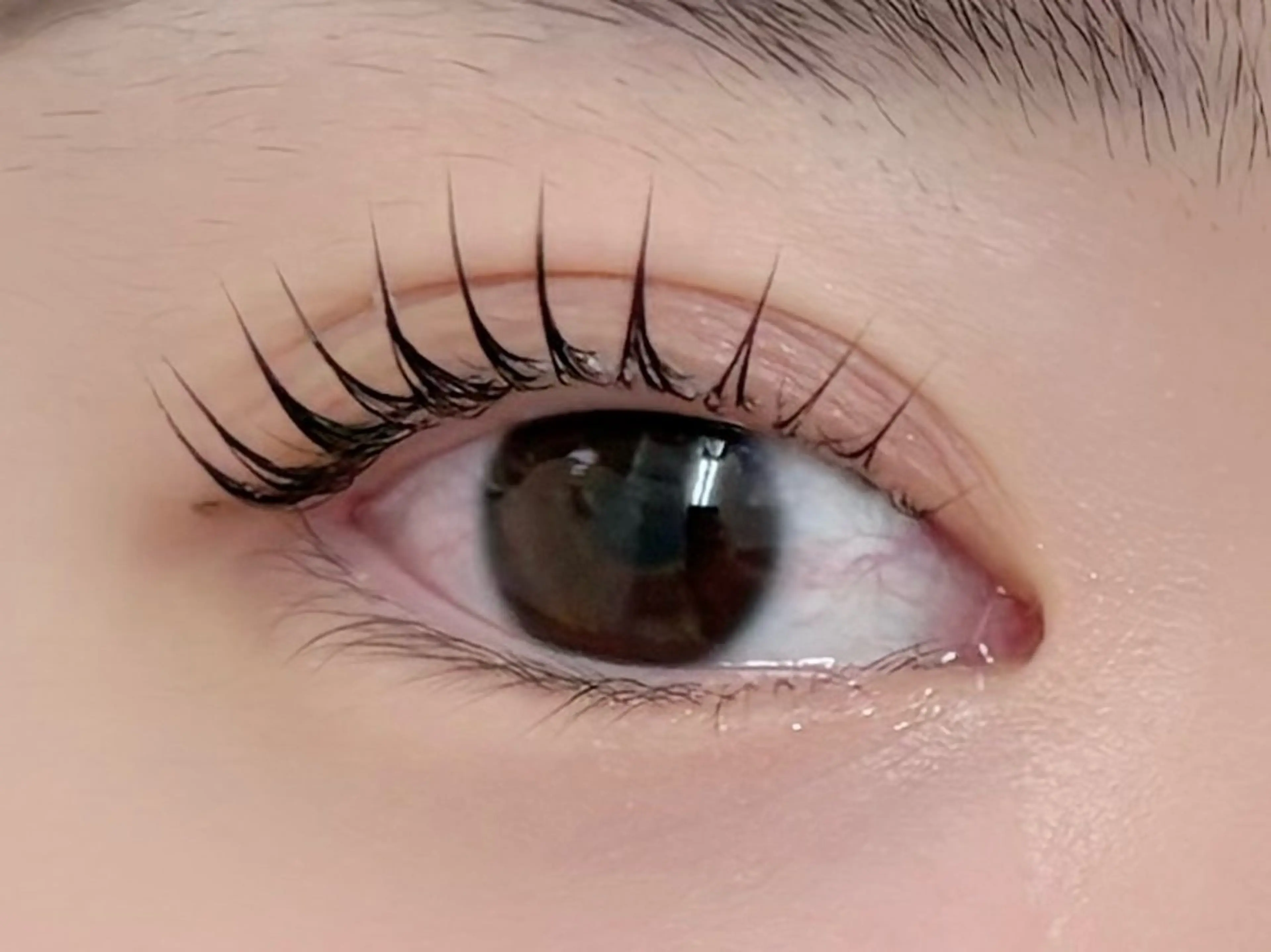 マツエク・マツパ 束感まつ毛 マツパ alice tokyo上村★のマツエク・マツパデザイン