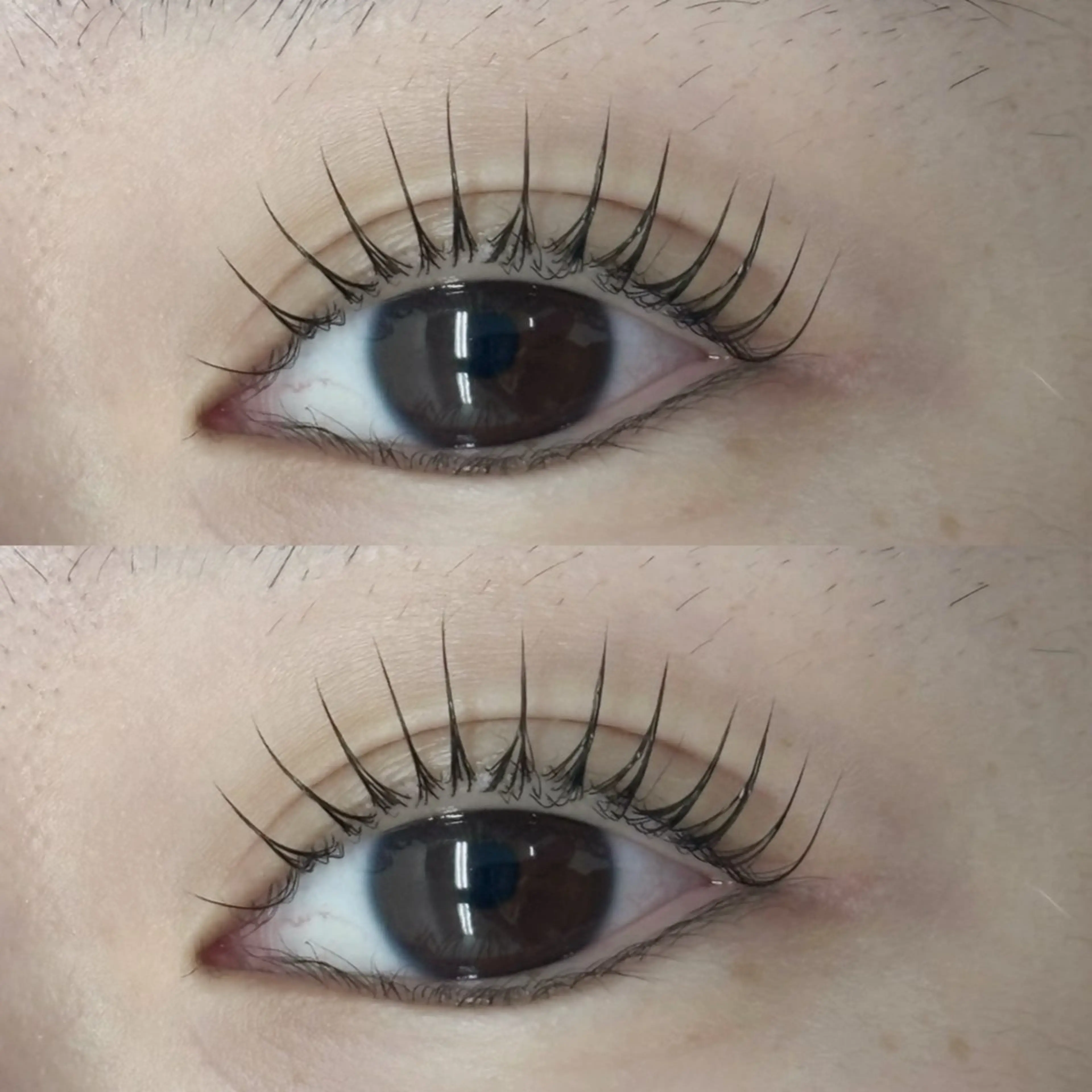 ご新規様限定⭐︎パリジェンヌ⭐︎アイシャンプー付きの写真